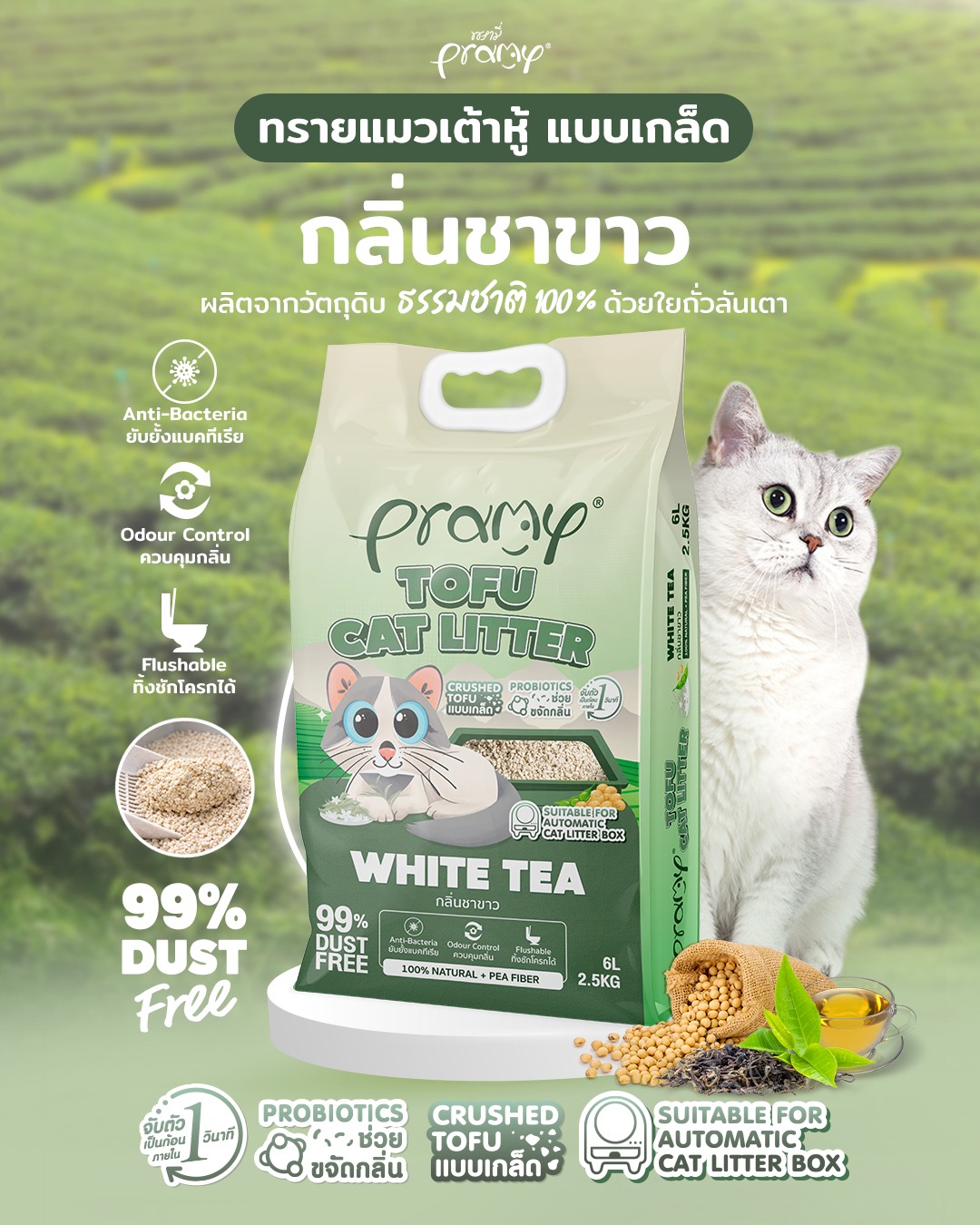 PRAMY อาหารแมวพรามี่ Facebook ad