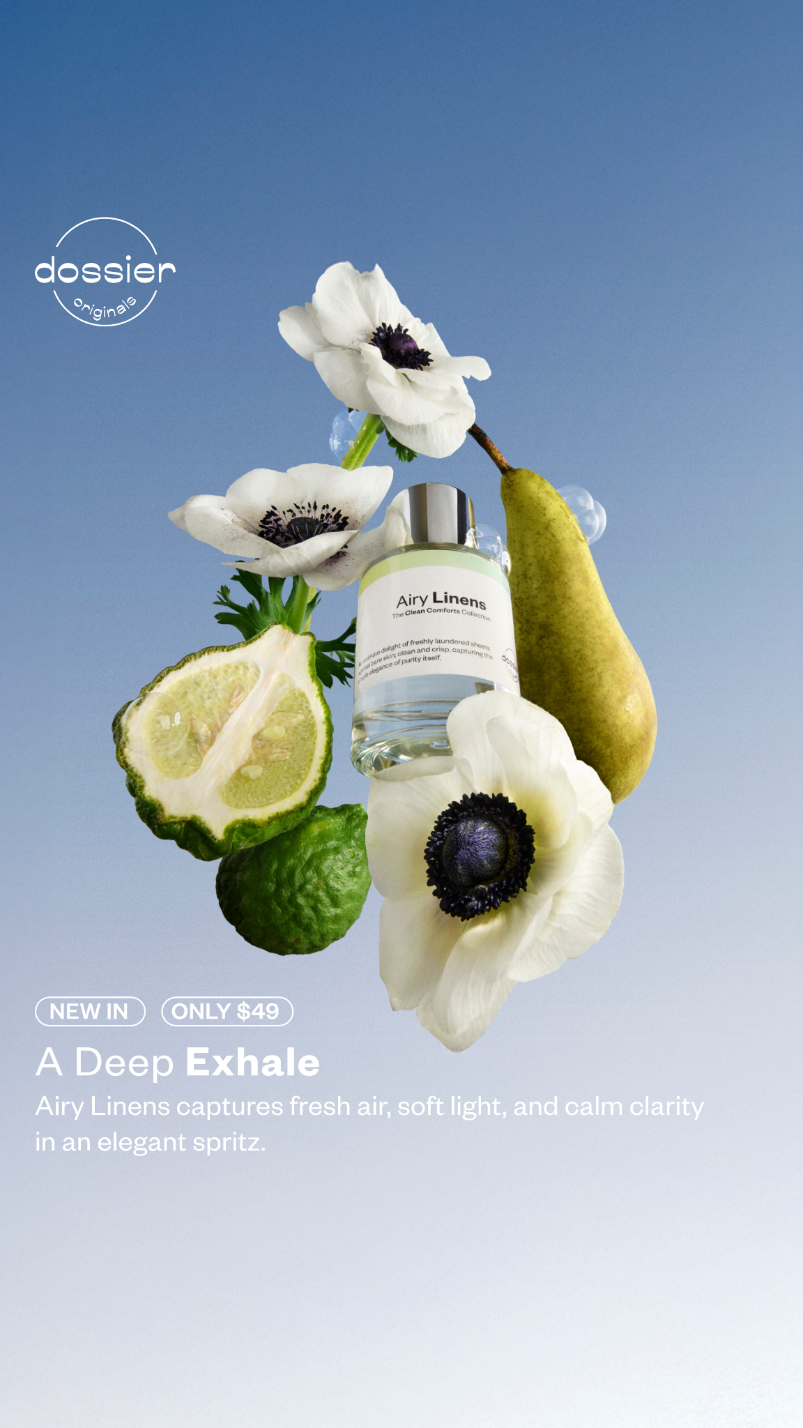 Dossier Facebook ad