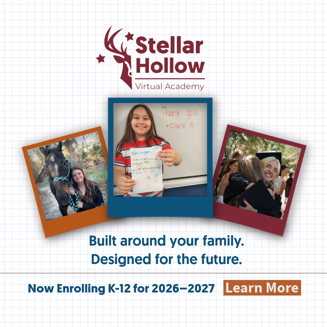 Stellar Hollow Virtual Academy Facebook ad