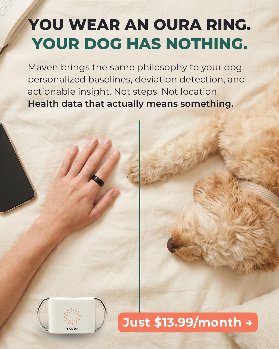 Maven Pet Facebook ad