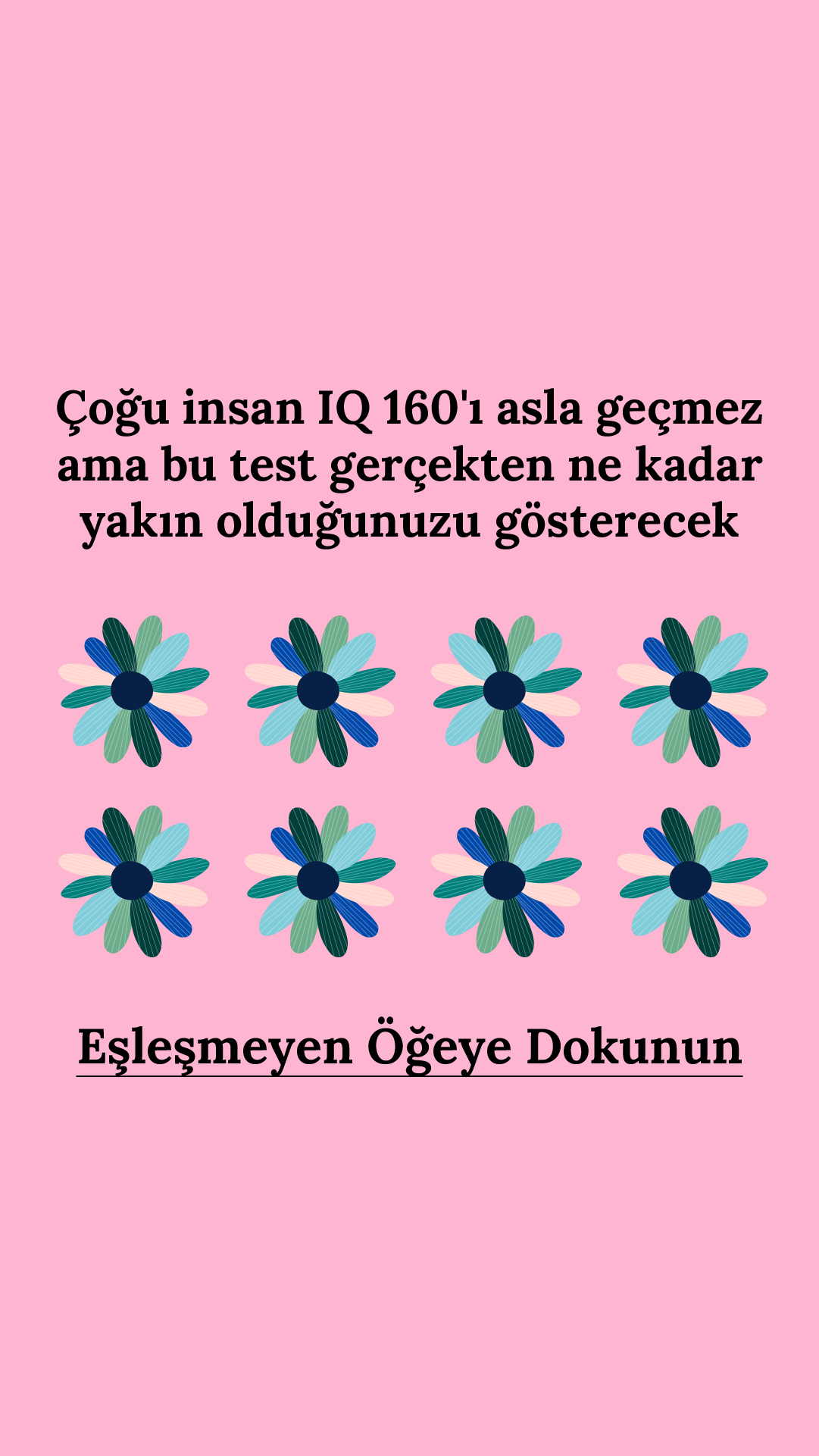 Zeka Testi Facebook ad: 30 soruyu cevapla ve sonucunu öğren