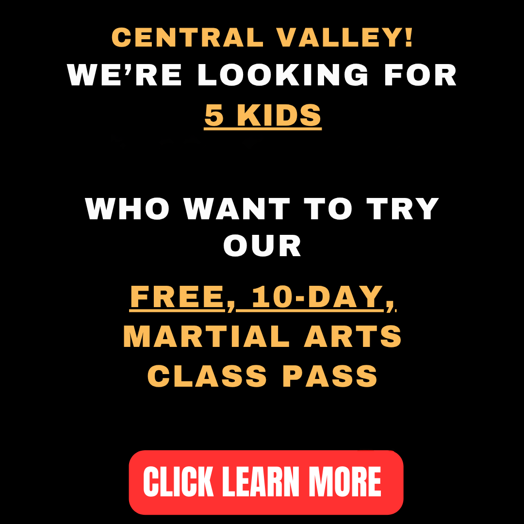 Success Martial Arts Facebook ad: Want a FREE 10-Day, Kids Martial Arts Class Pass?