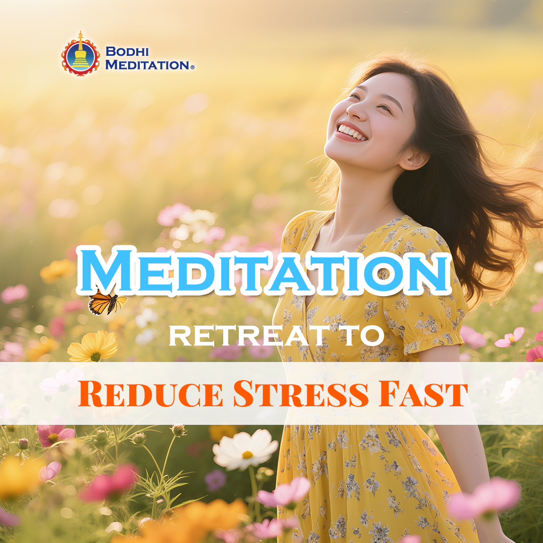Bodhi Meditation Silicon Valley USA Facebook ad