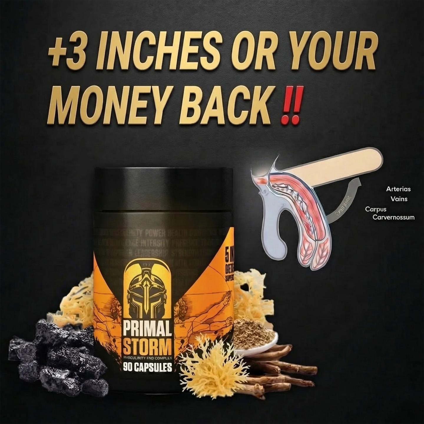 Primal-Storm Facebook ad