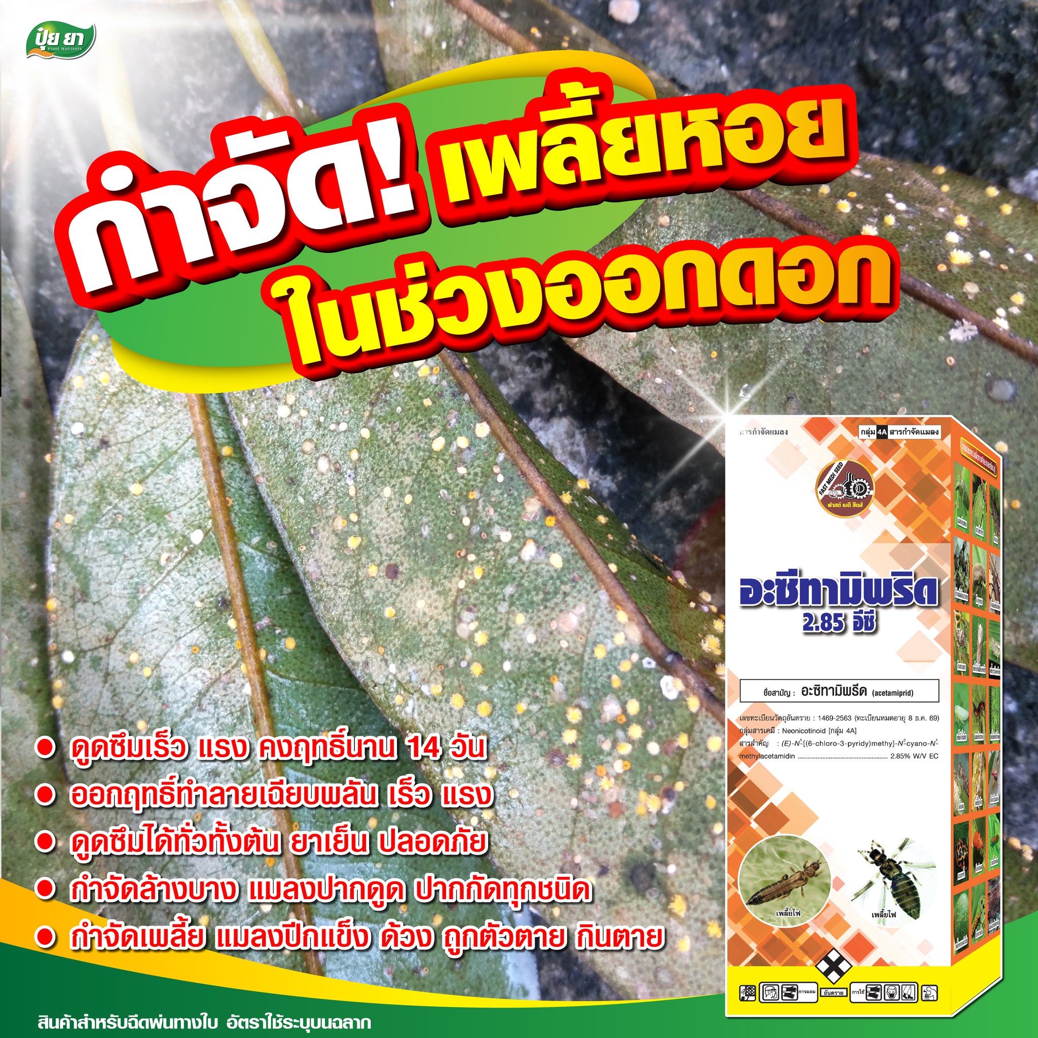 ปุ๋ยยา Facebook ad: กำจัด เพลี้ยหอย เพลี้ยแป้ง แมลงปีกแข็งทุกชนิดในช่วงออกดอก…