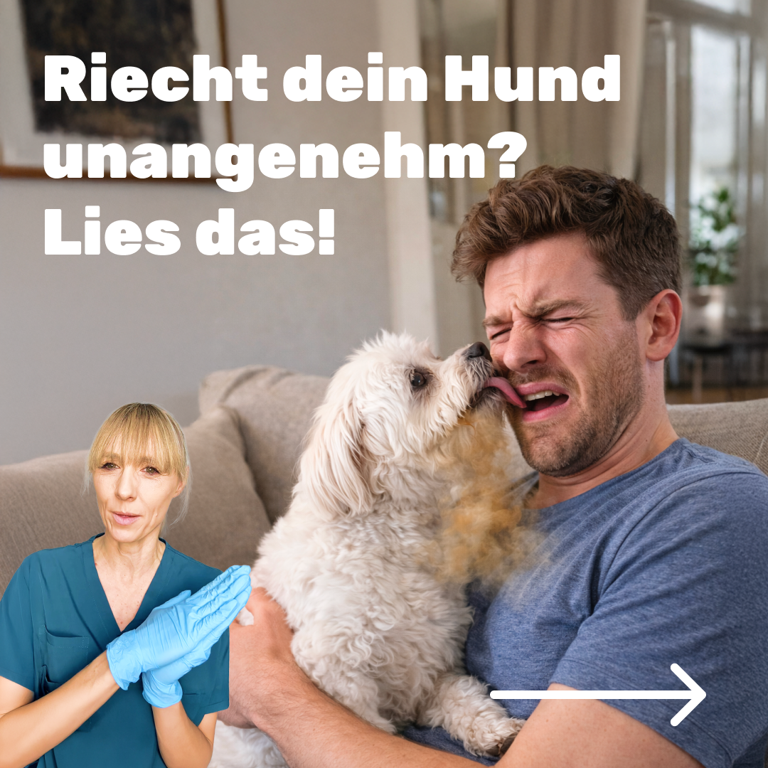 Mammaly Facebook ad