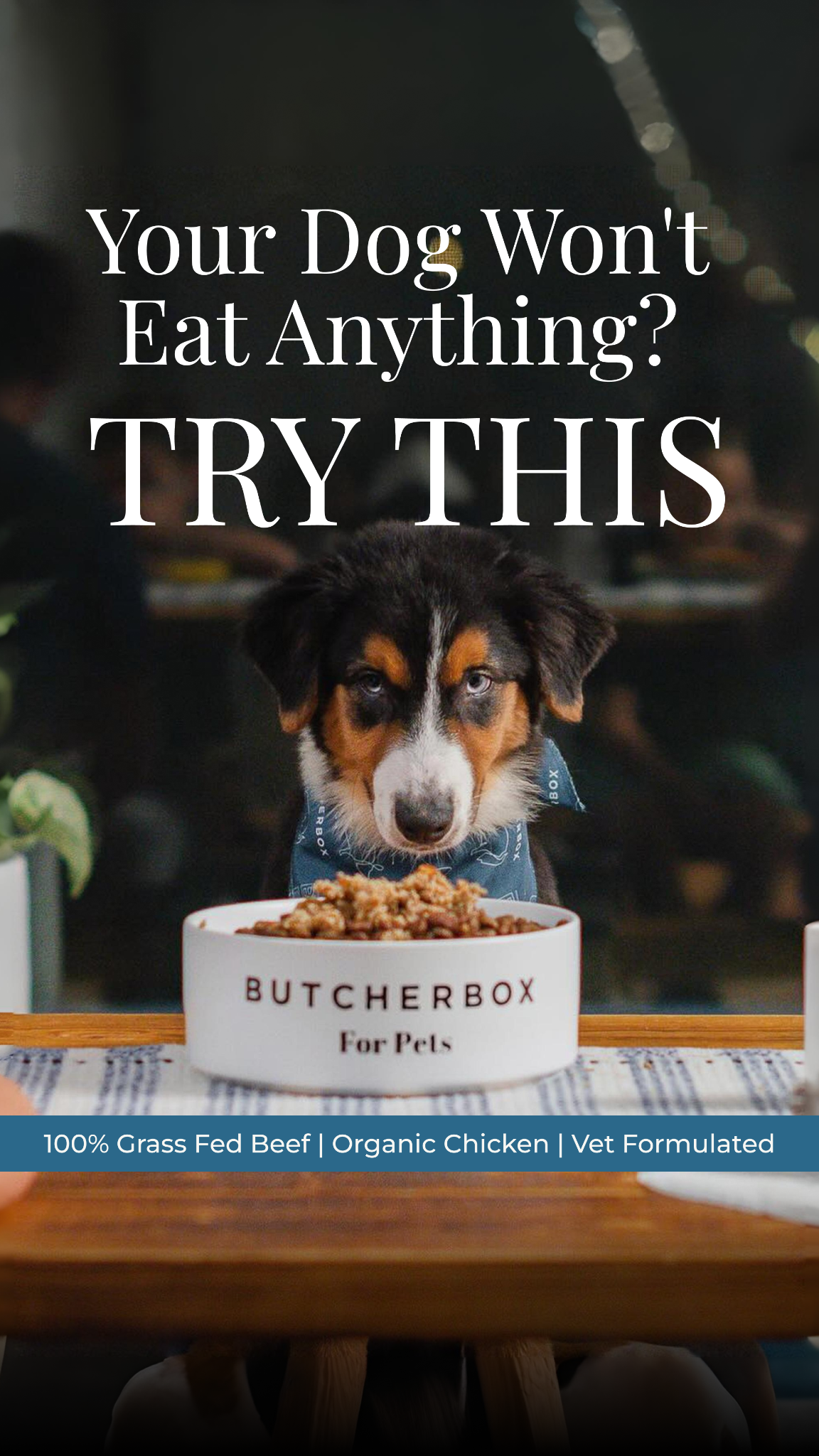 ButcherBox For Pets Facebook ad from Jan 15, 2026