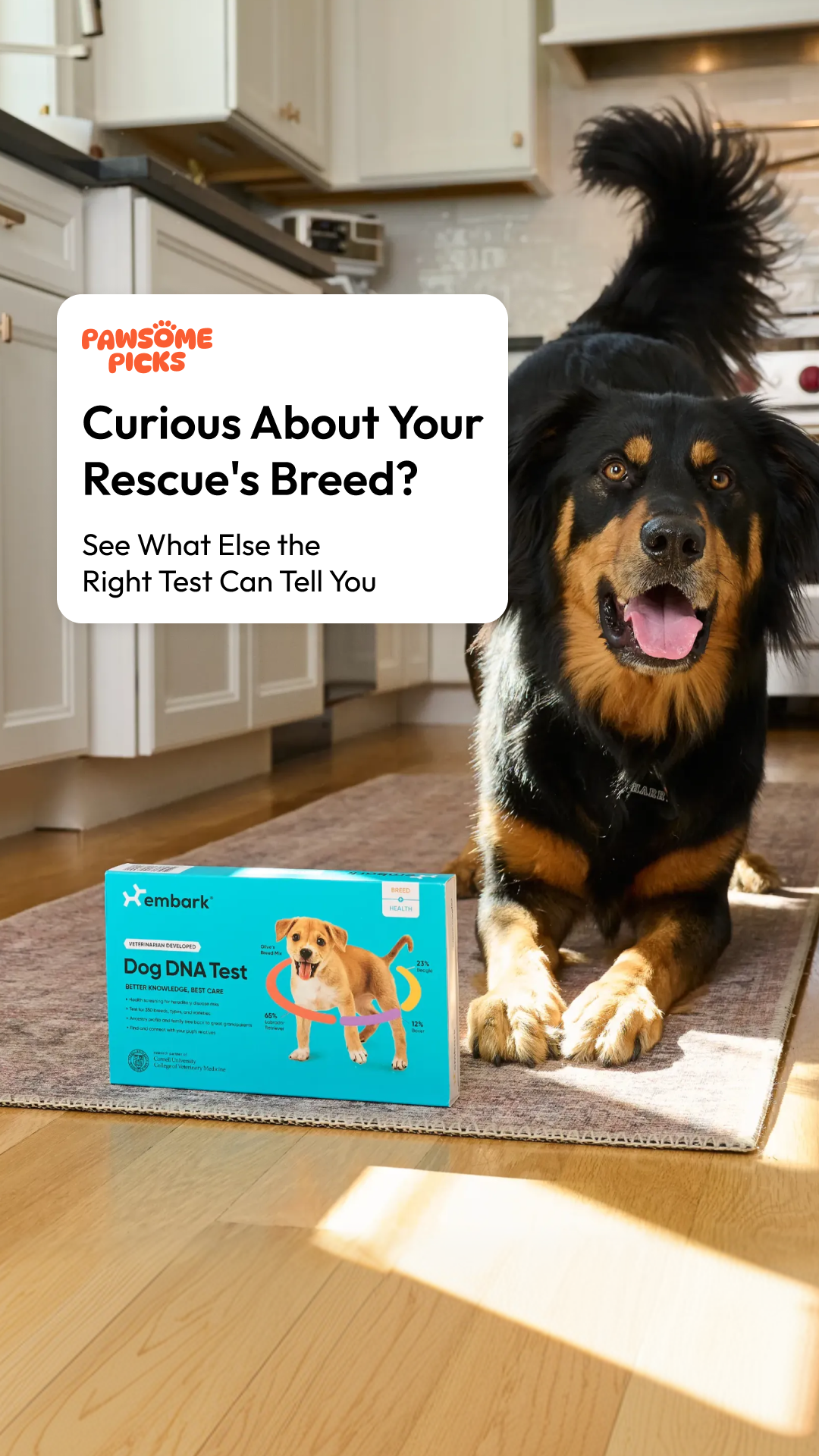 Pawsome Picks Facebook ad