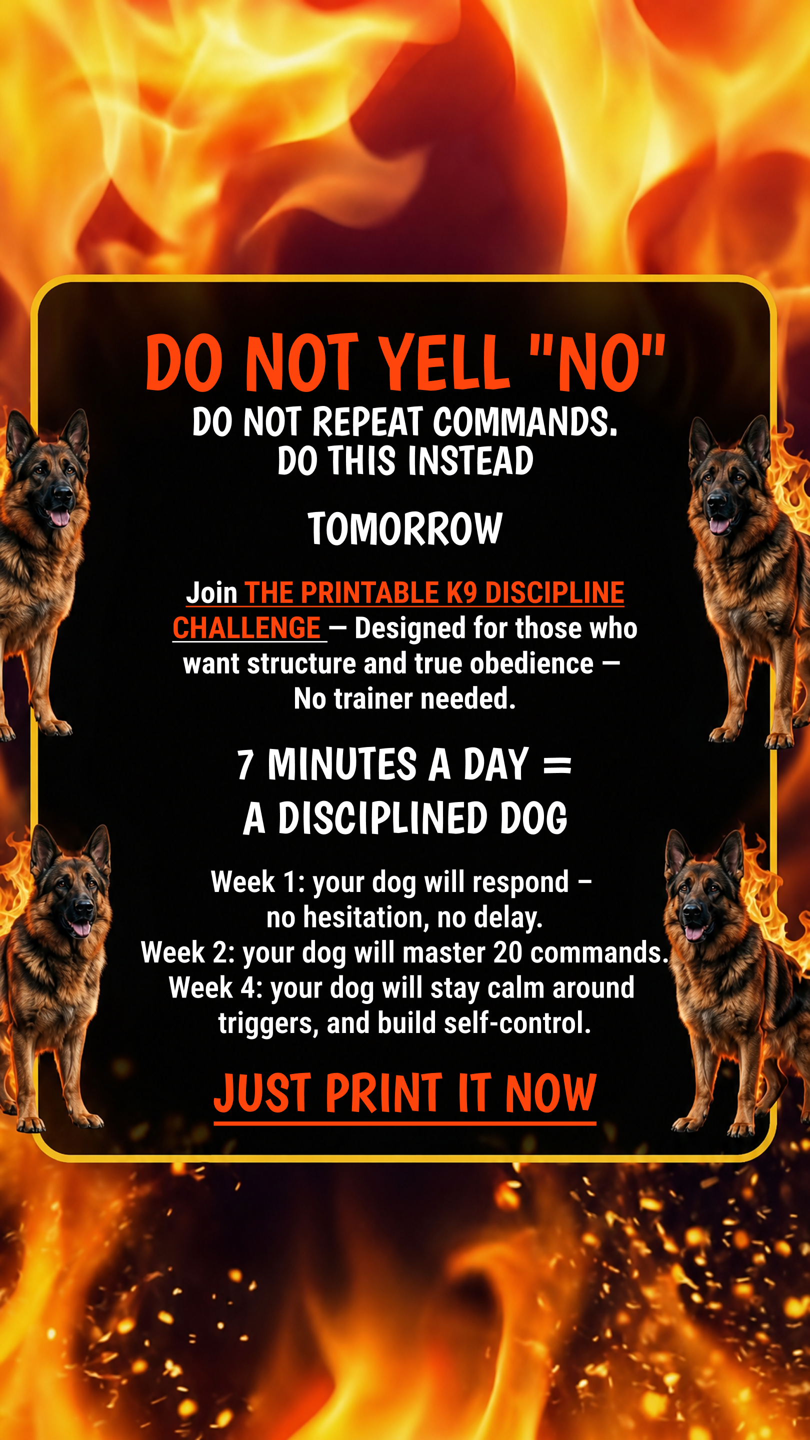 Max Anderson Facebook ad: Take the lead. Start now