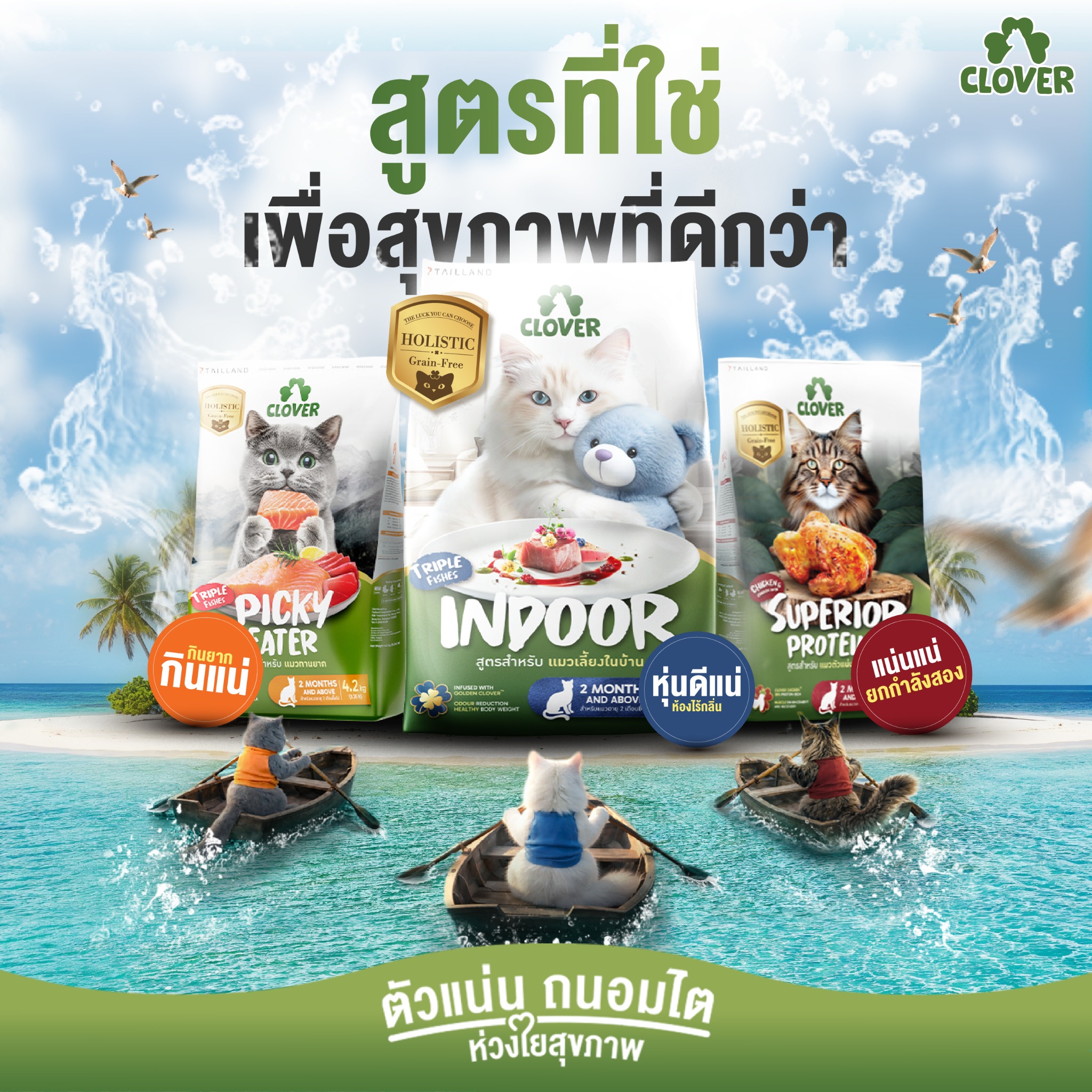 Clover อาหารแมวเกรด ultra holistic Facebook ad: ตัวแน่น ขนสวย สุขภาพดีแบบมีคลาส