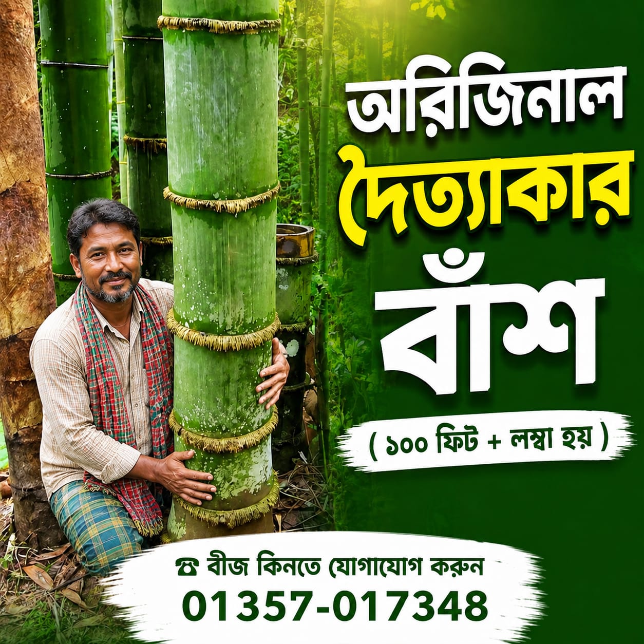 𝐒𝐞𝐞𝐝𝐆𝐨 Facebook ad