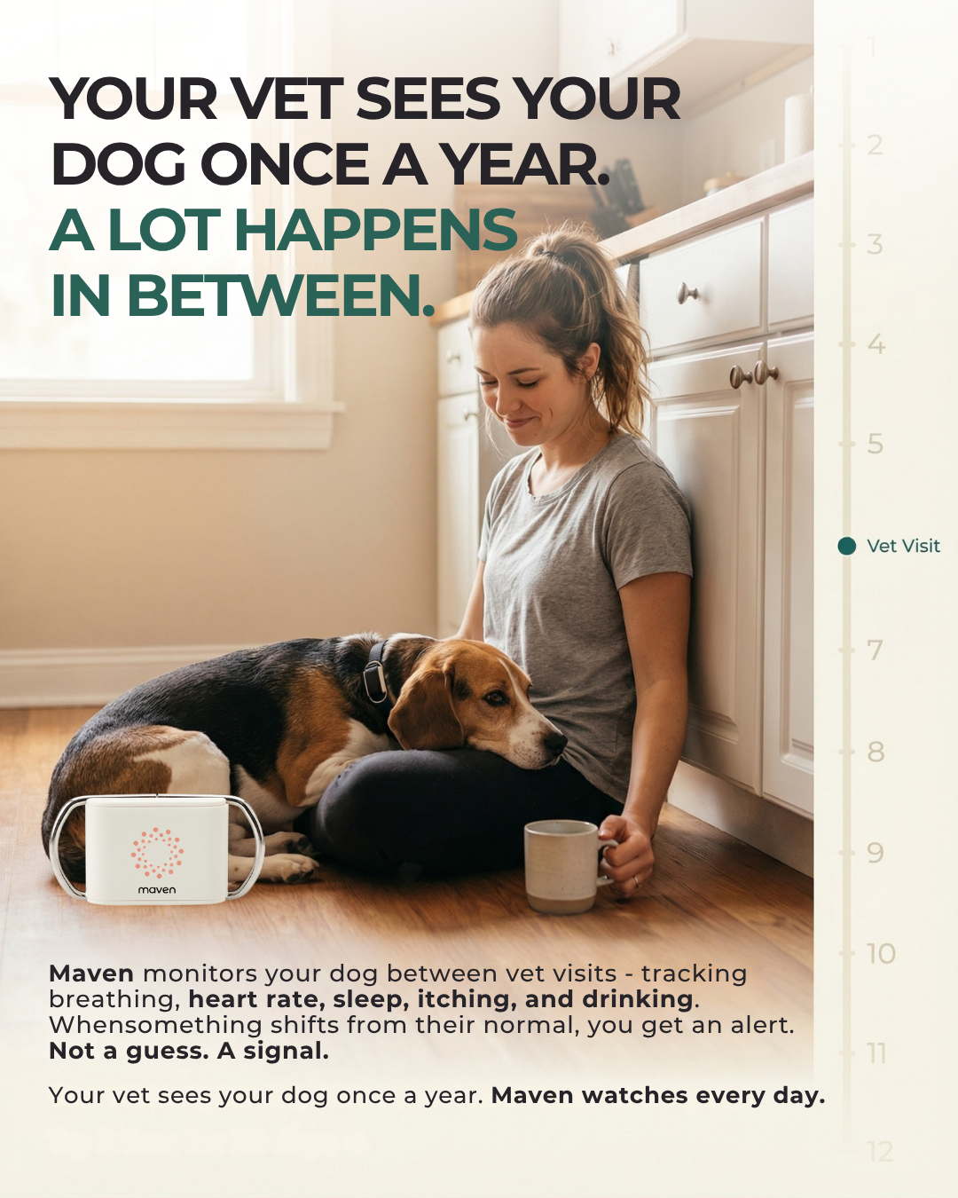 Maven Pet Facebook ad