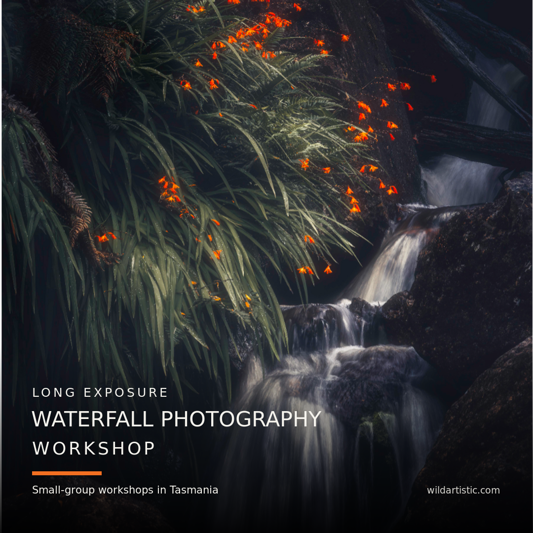 Wild Artistic Photography Tours And Workshops Facebook ad: Want to actually learn?