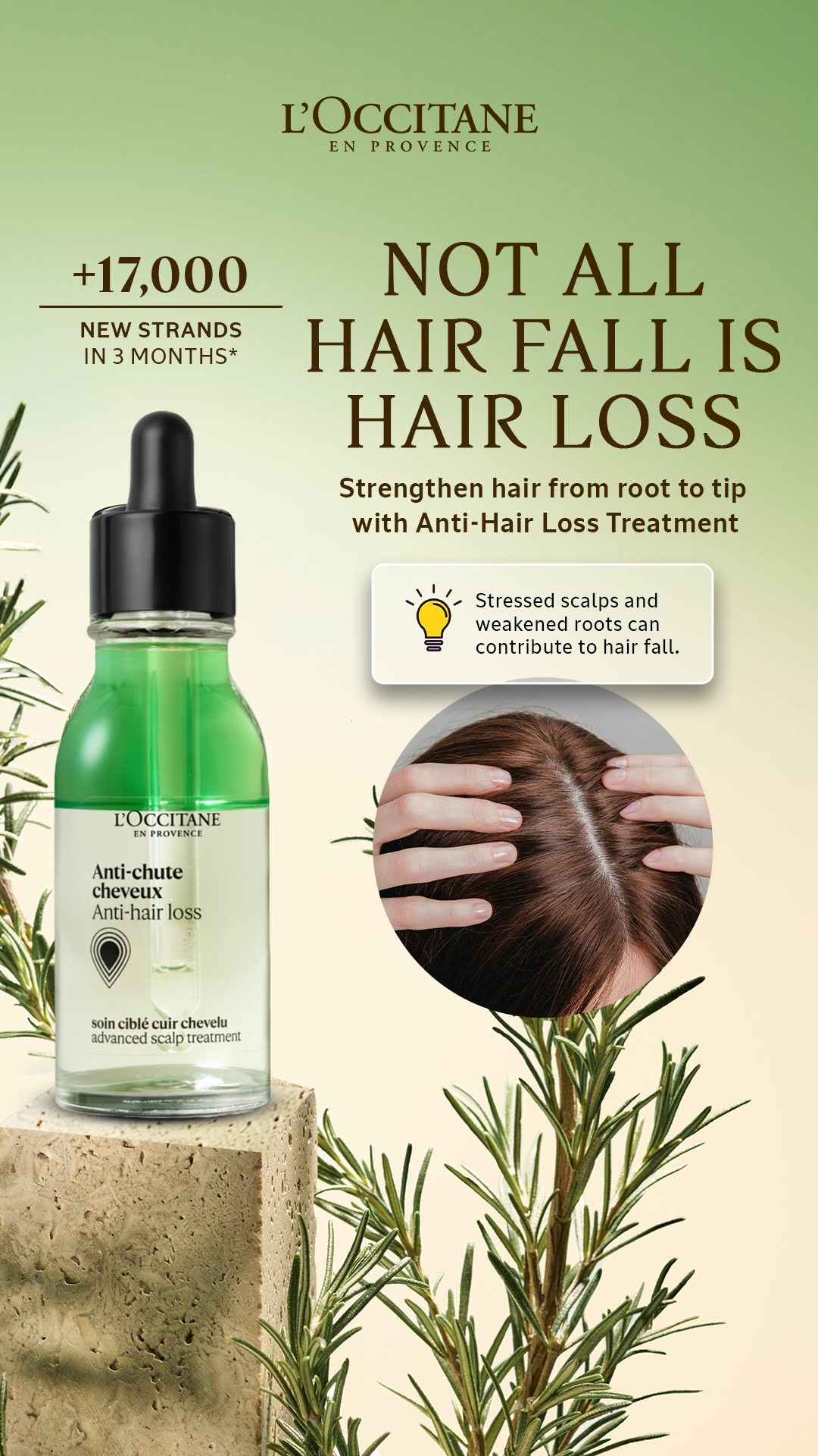 L'OCCITANE en Provence Facebook ad