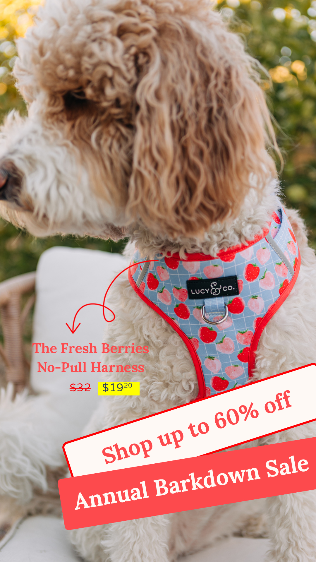Lucy & Co. Facebook ad