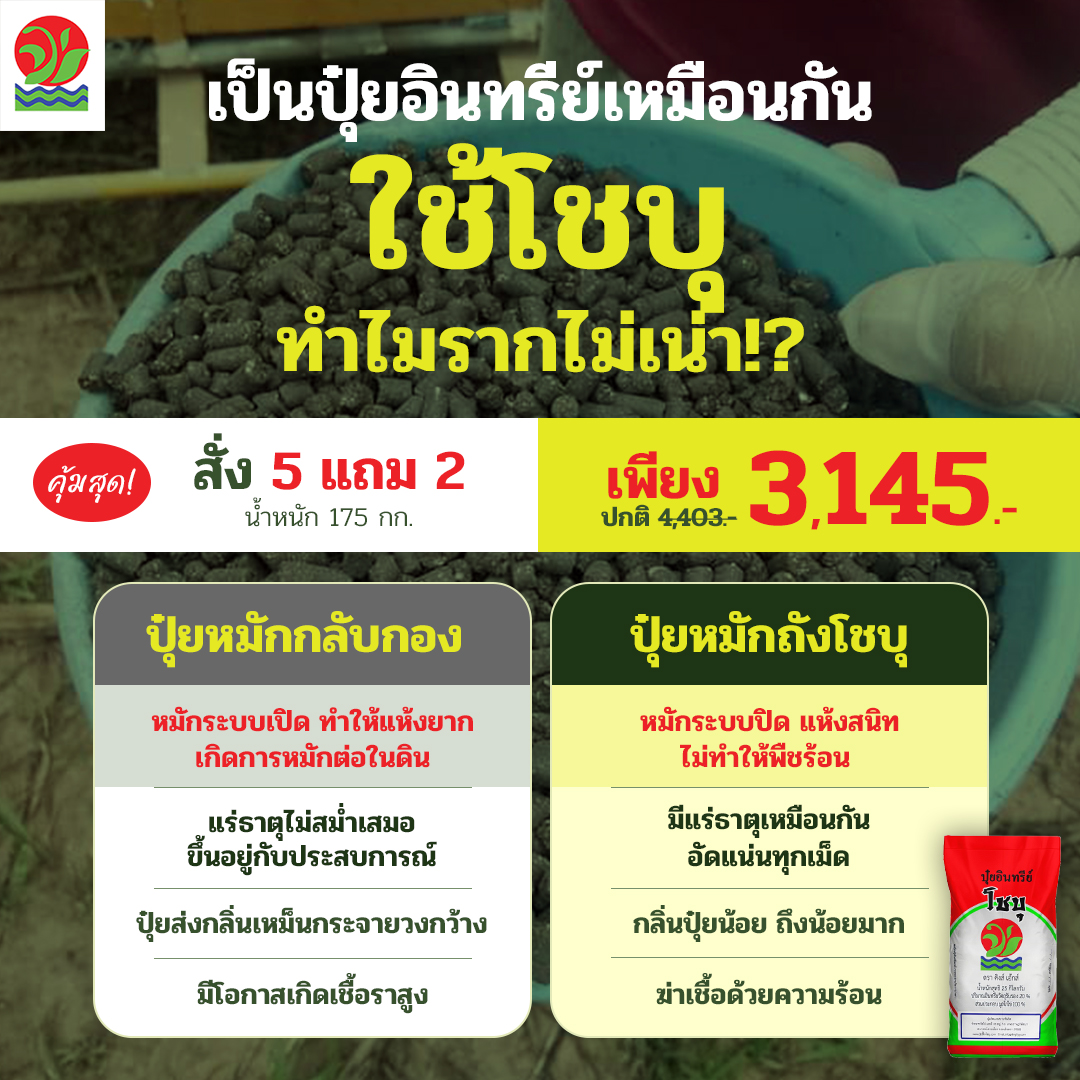 โชบุ ปุ๋ยที่ดีที่สุด เพจบริษัท Facebook ad