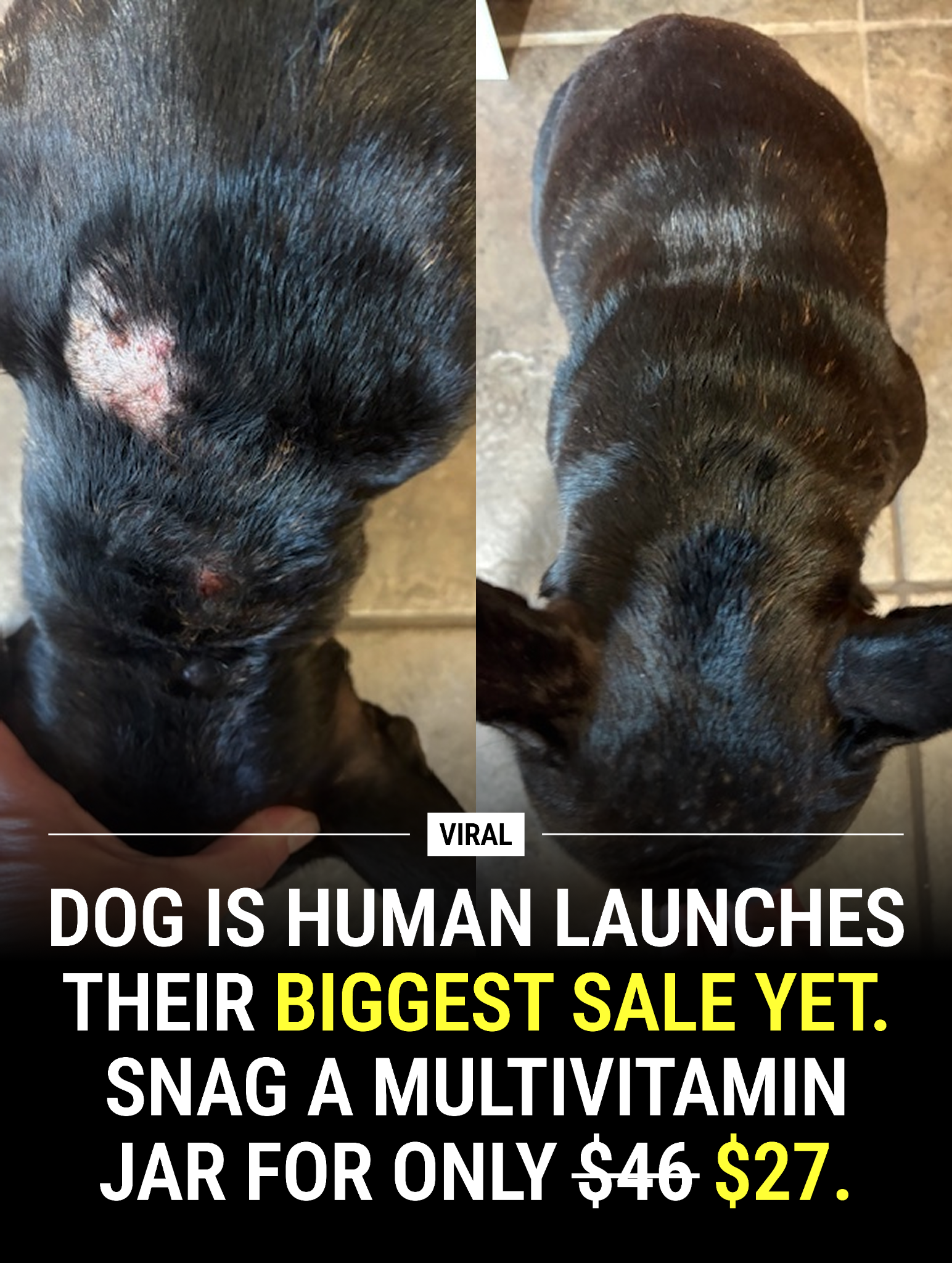 Dog is Human Facebook ad