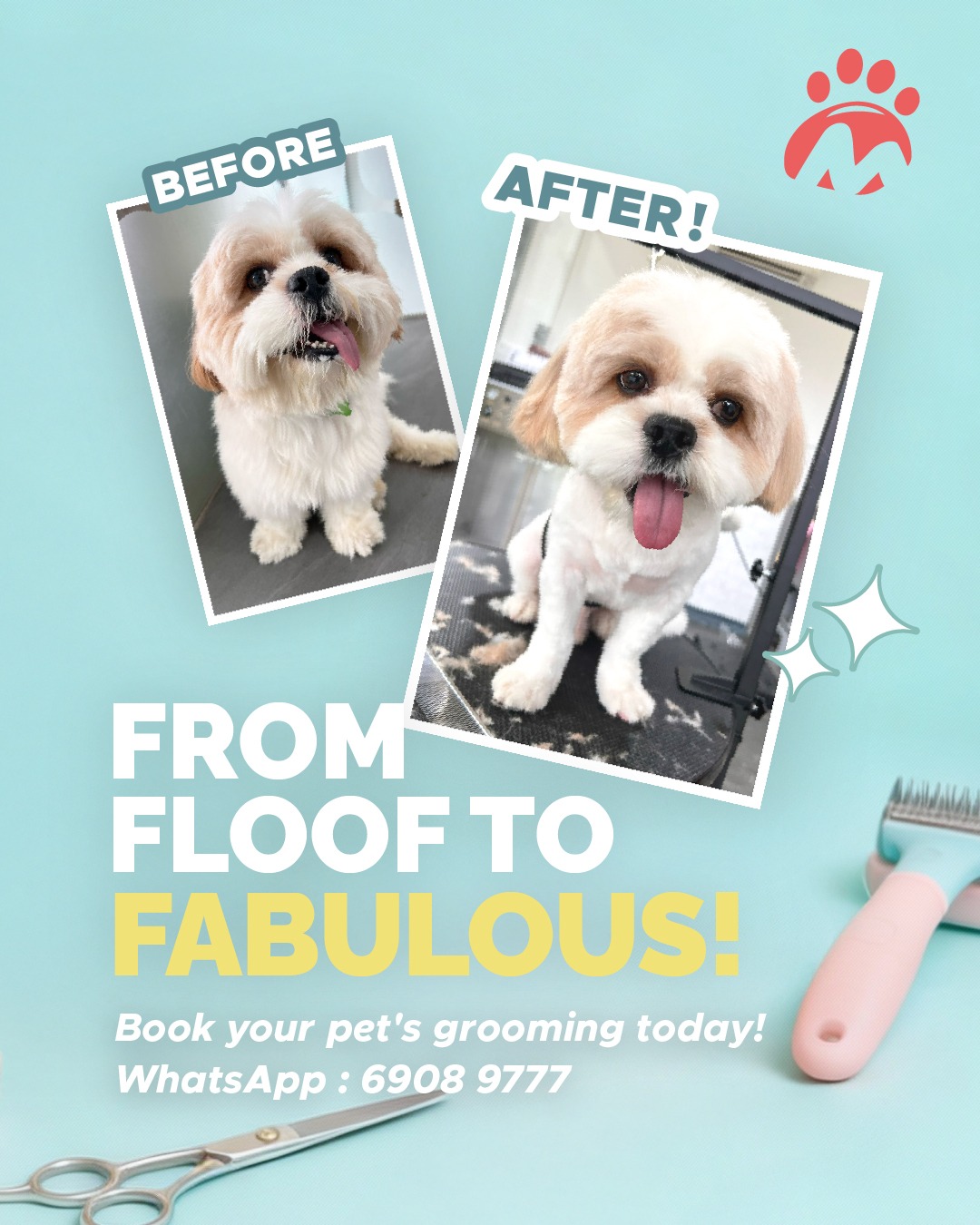Pet Master Facebook ad