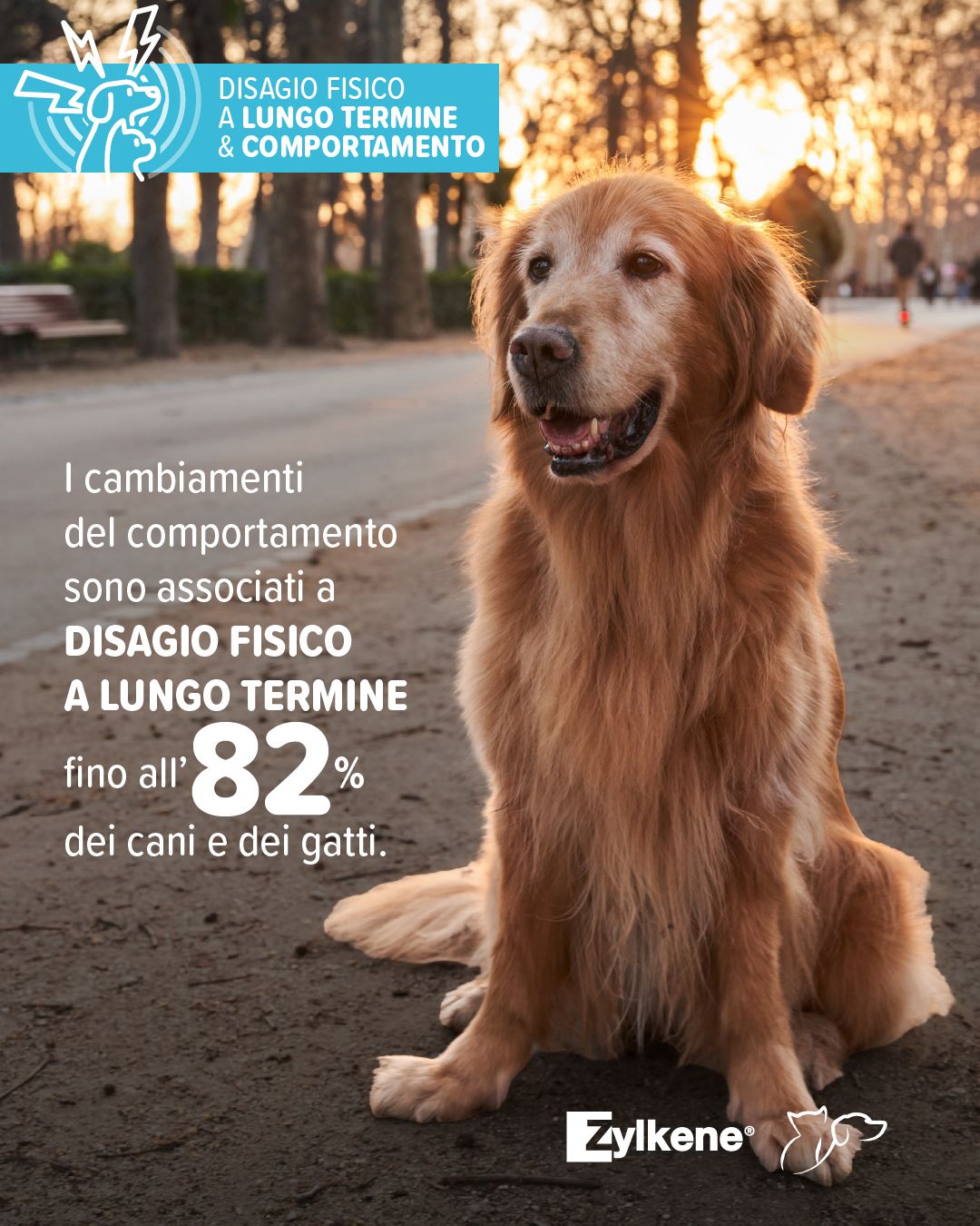 My Happy Pet Italia by Vetoquinol Facebook ad: Dove trovare Zylkene - Zylkene