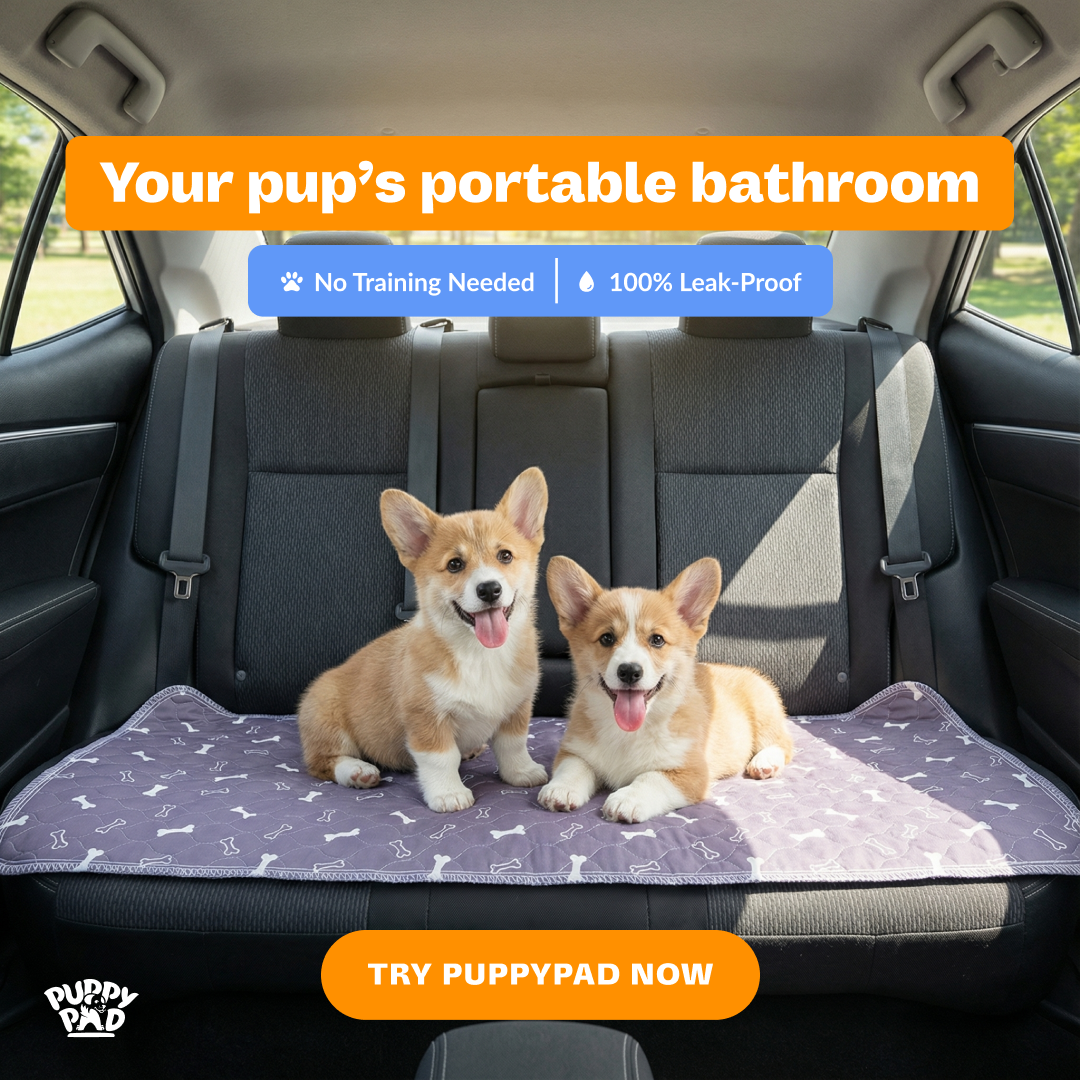 PuppyPad Facebook ad