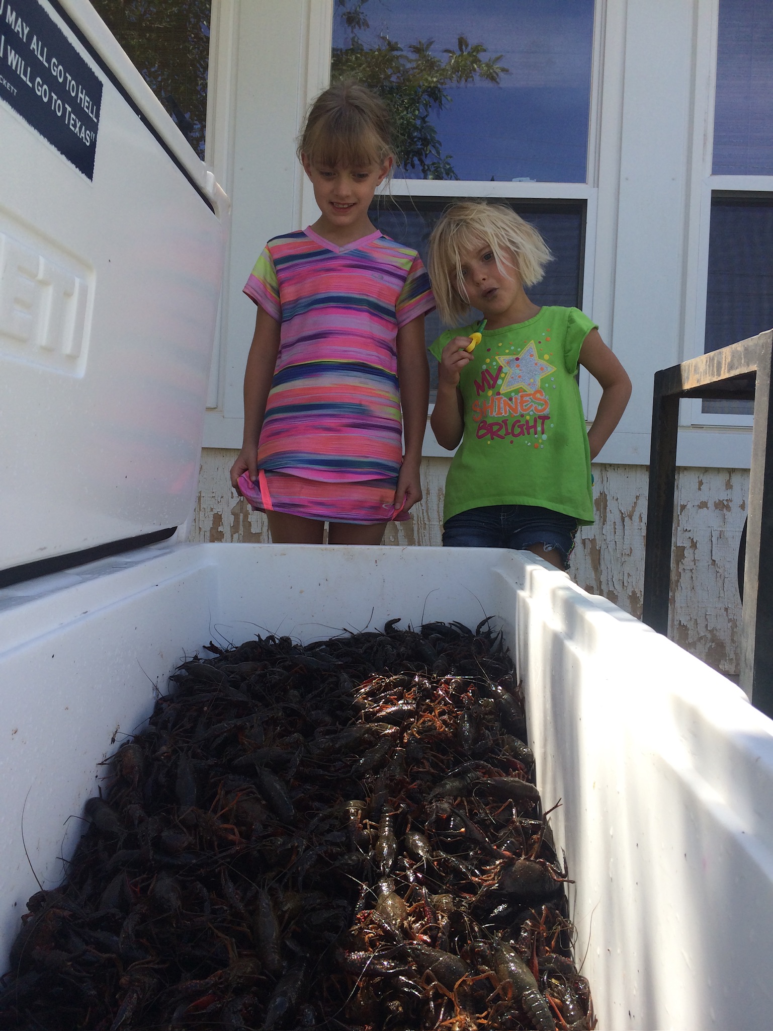 White River Marina Facebook ad: Crawfish Boil June 17