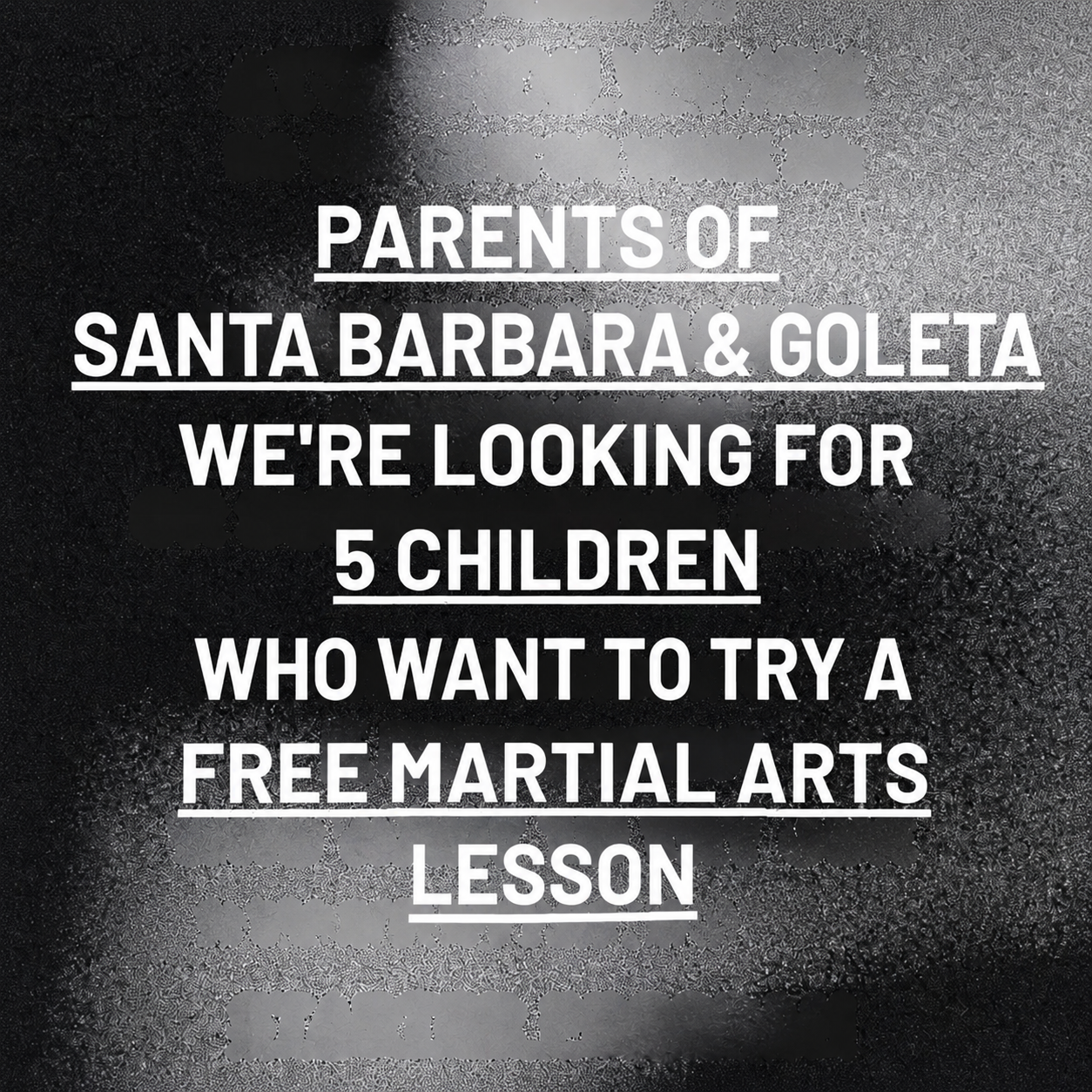Santa Barbara Dojo Facebook ad