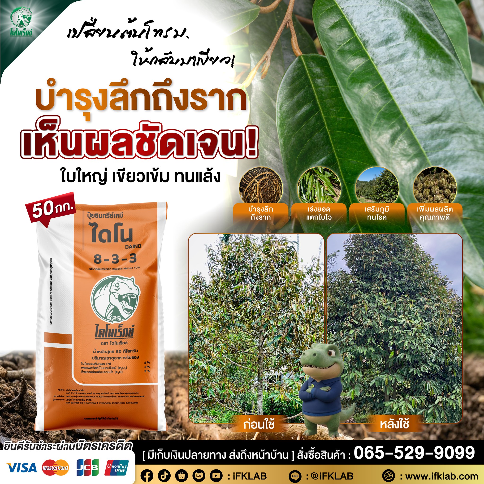 สารปรับปรุงดิน ไดโนเร็กซ์ Facebook ad: อย่าเพิ่งหยุดดูแล!