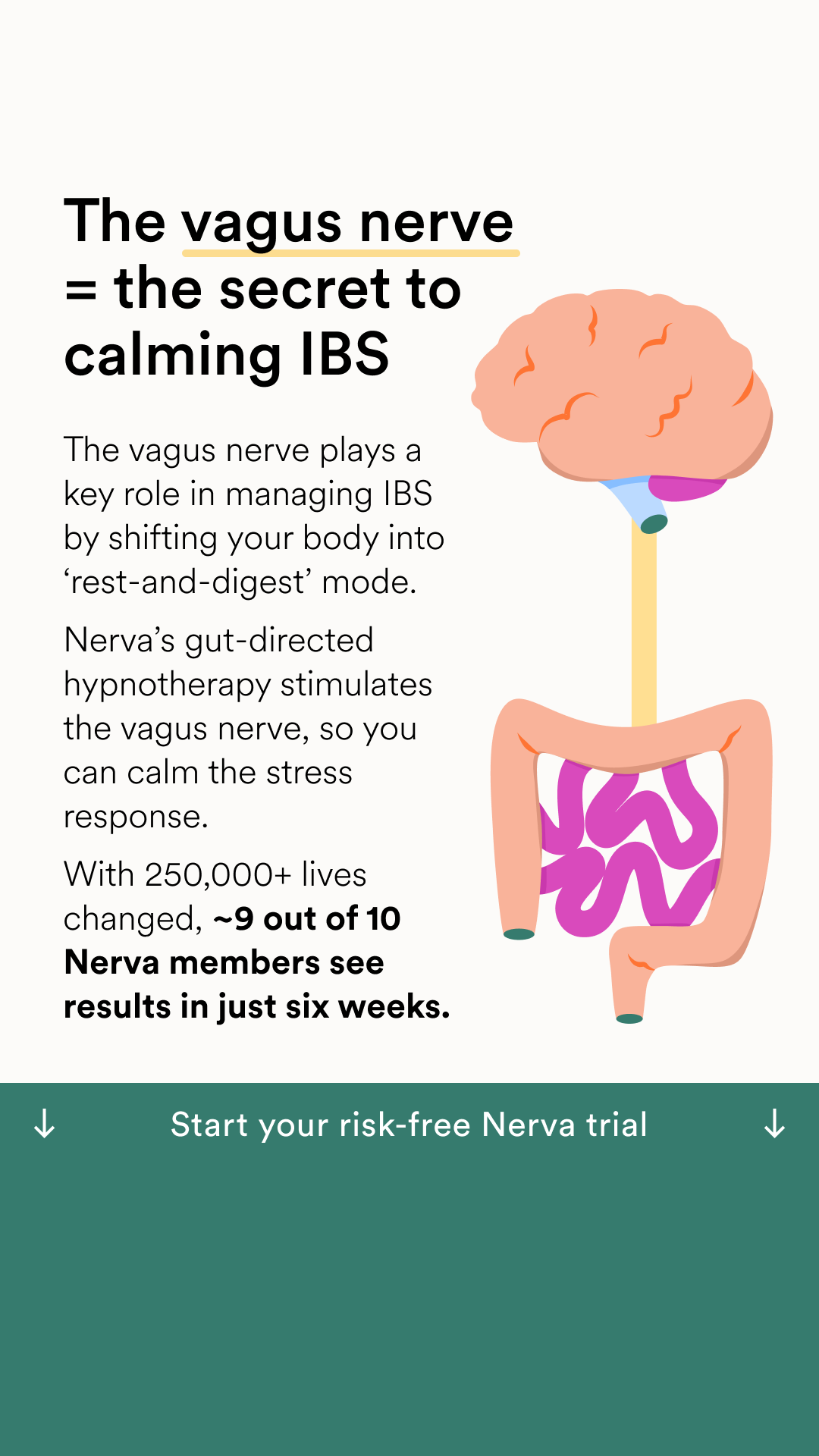 Nerva: IBS & Gut Care Facebook ad