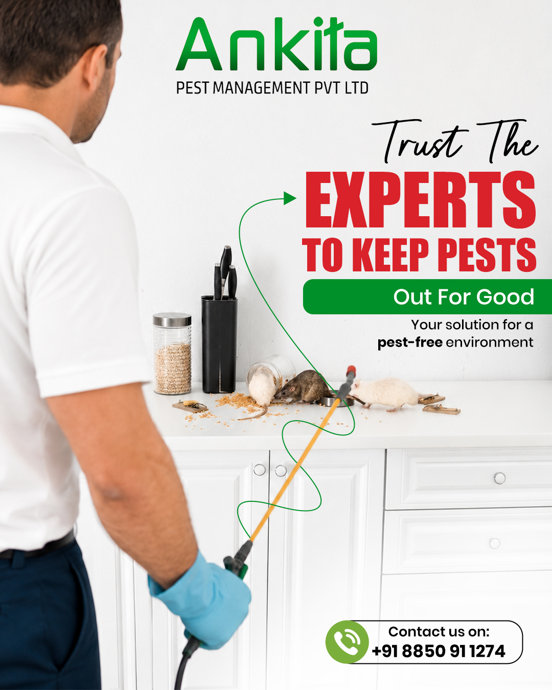 Ankita Pest Control Services Facebook ad