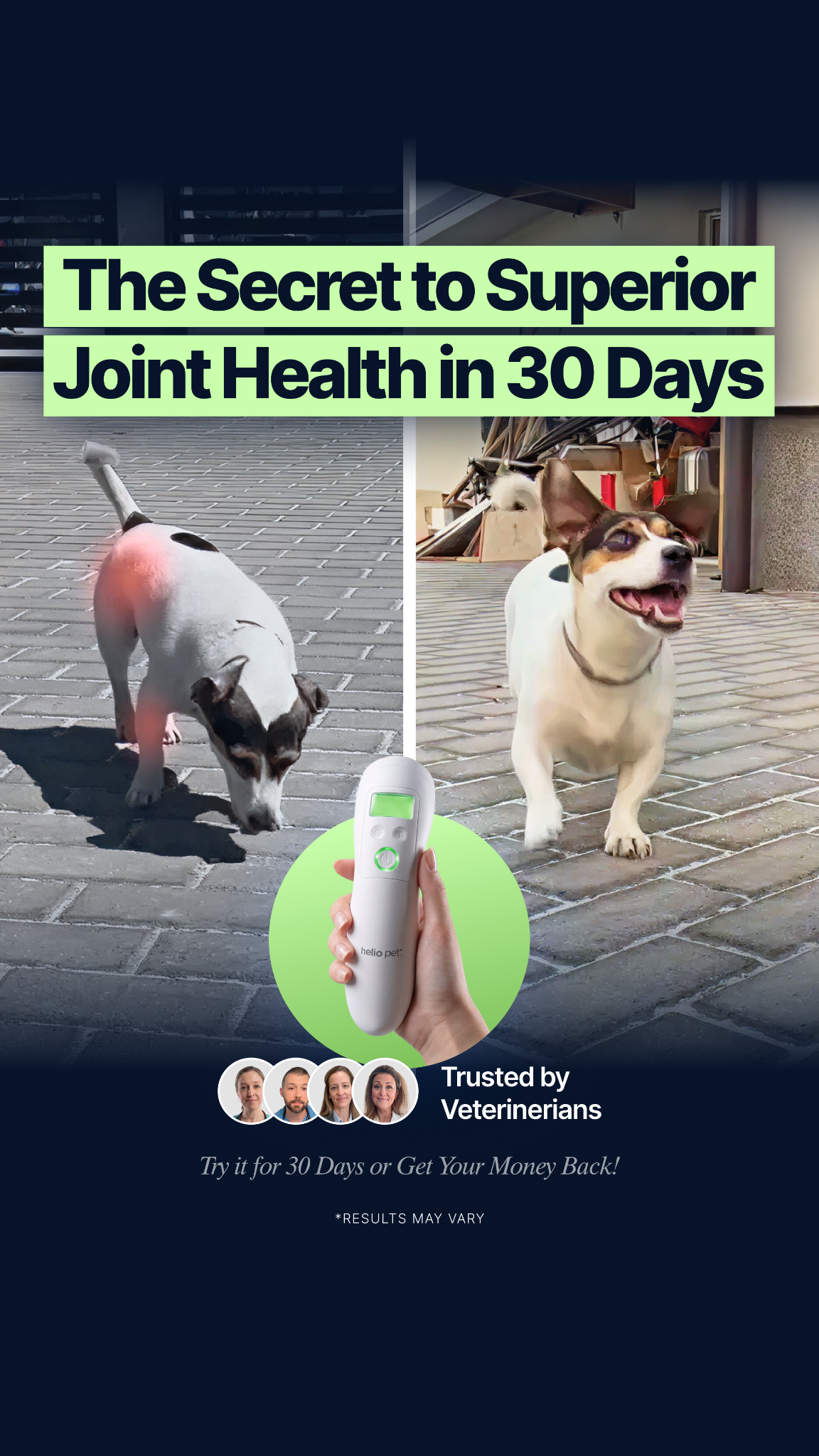 Helio Pet Facebook ad