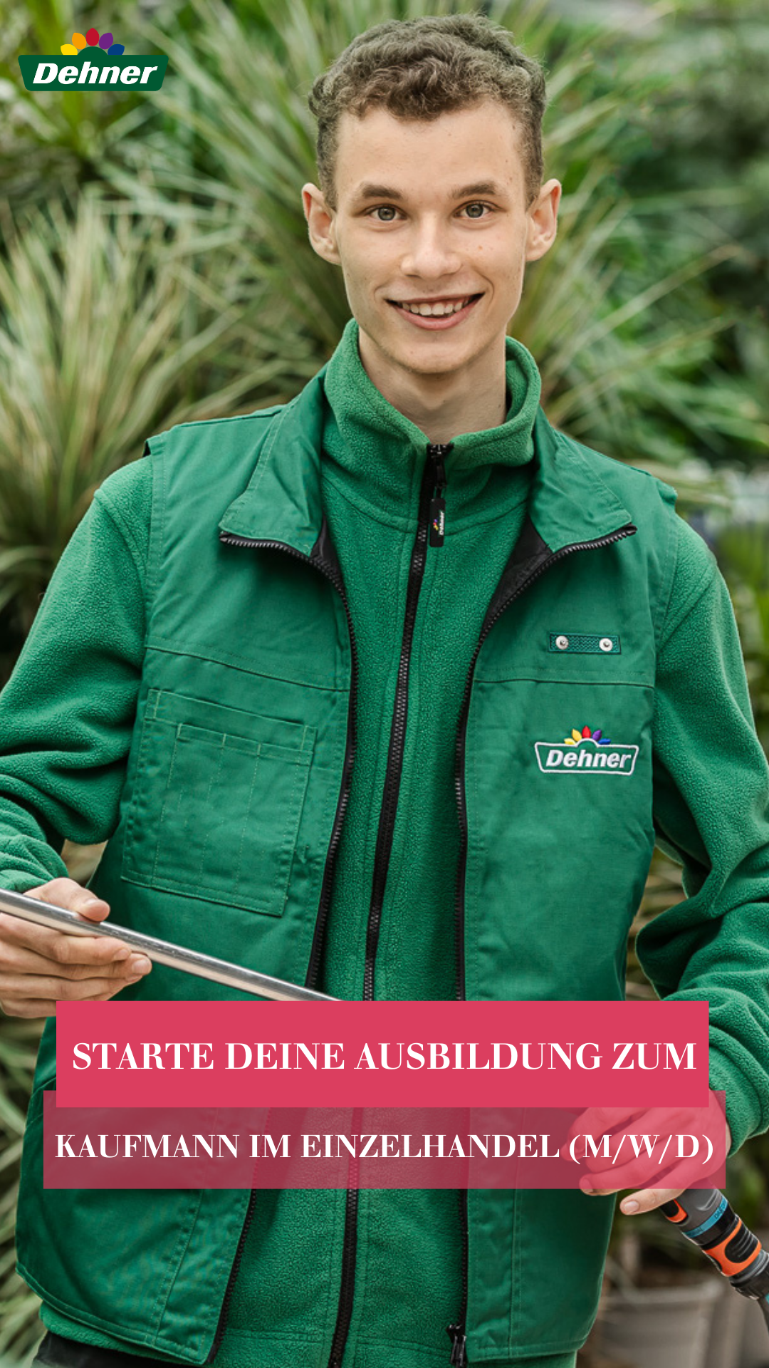 Dehner Karriere Facebook ad