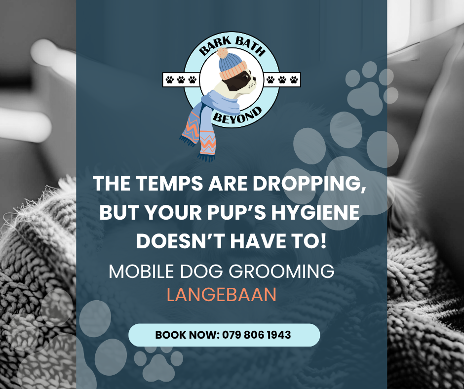 Bark Bath & Beyond Grooming Langebaan Facebook ad from Jun 23, 2026