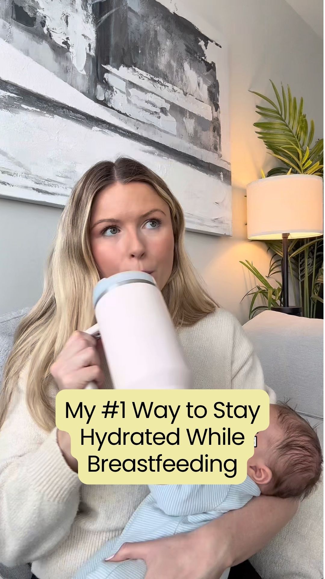 brooklyndinesen Facebook ad: My Breastfeeding Sidekick