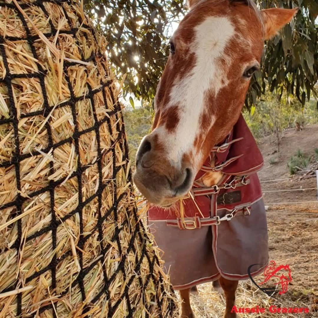 Aussie Grazers - Slow Feeding Hay Nets Facebook ad: Australia's leading slow feeder hay net retailer.