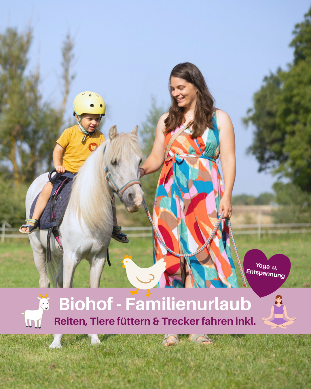 Biohof Fehmarn Nature Homes Facebook ad: Familienurlaub auf dem Biohof Fehmarn