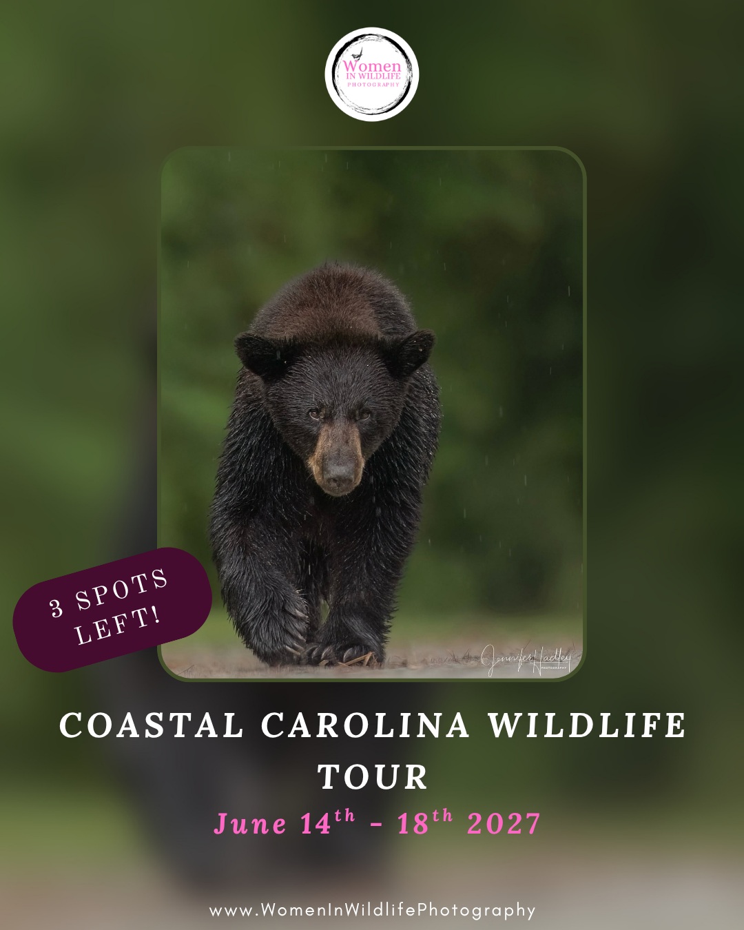 Women In Wildlife Photography Tours Facebook ad: COASTAL CAROLINA WILDLIFE - Women In Wildlife Photography