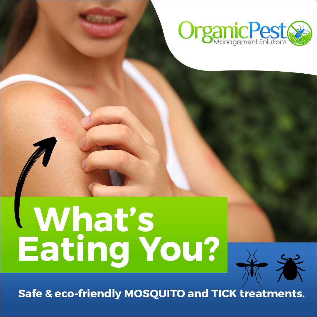 Organic Pest Management Solutions Facebook ad: Safe. Effective. Pest-Free Living.