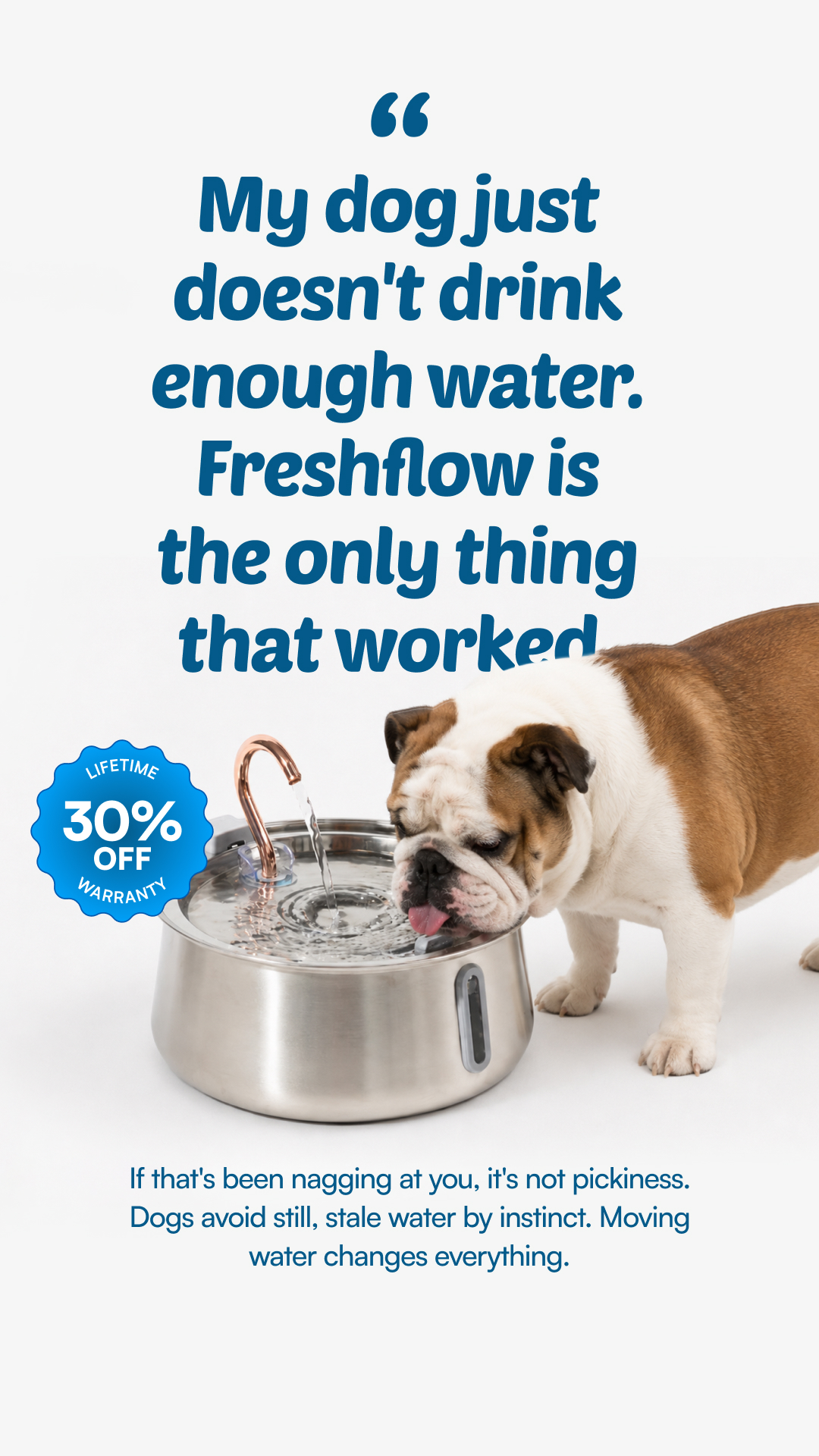 Rhykin Pet Co Facebook ad