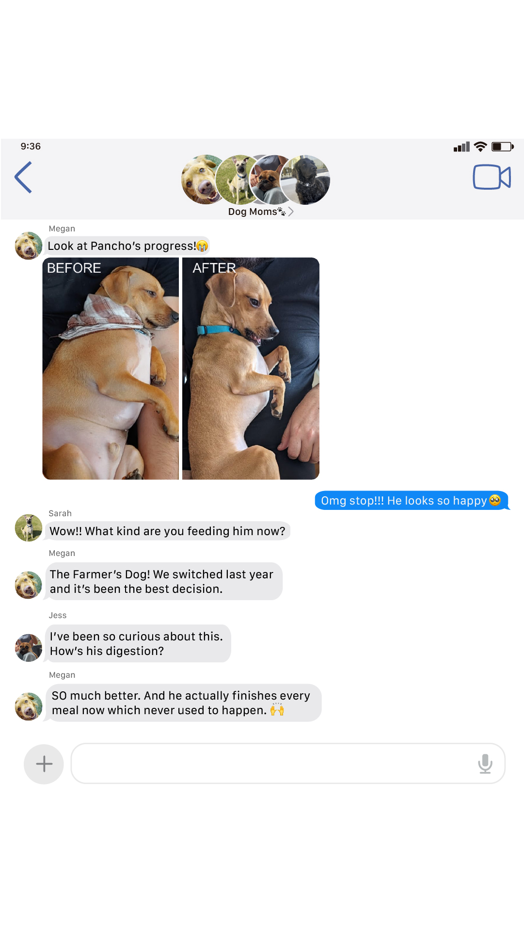 Dog Wellness Dispatch Facebook ad