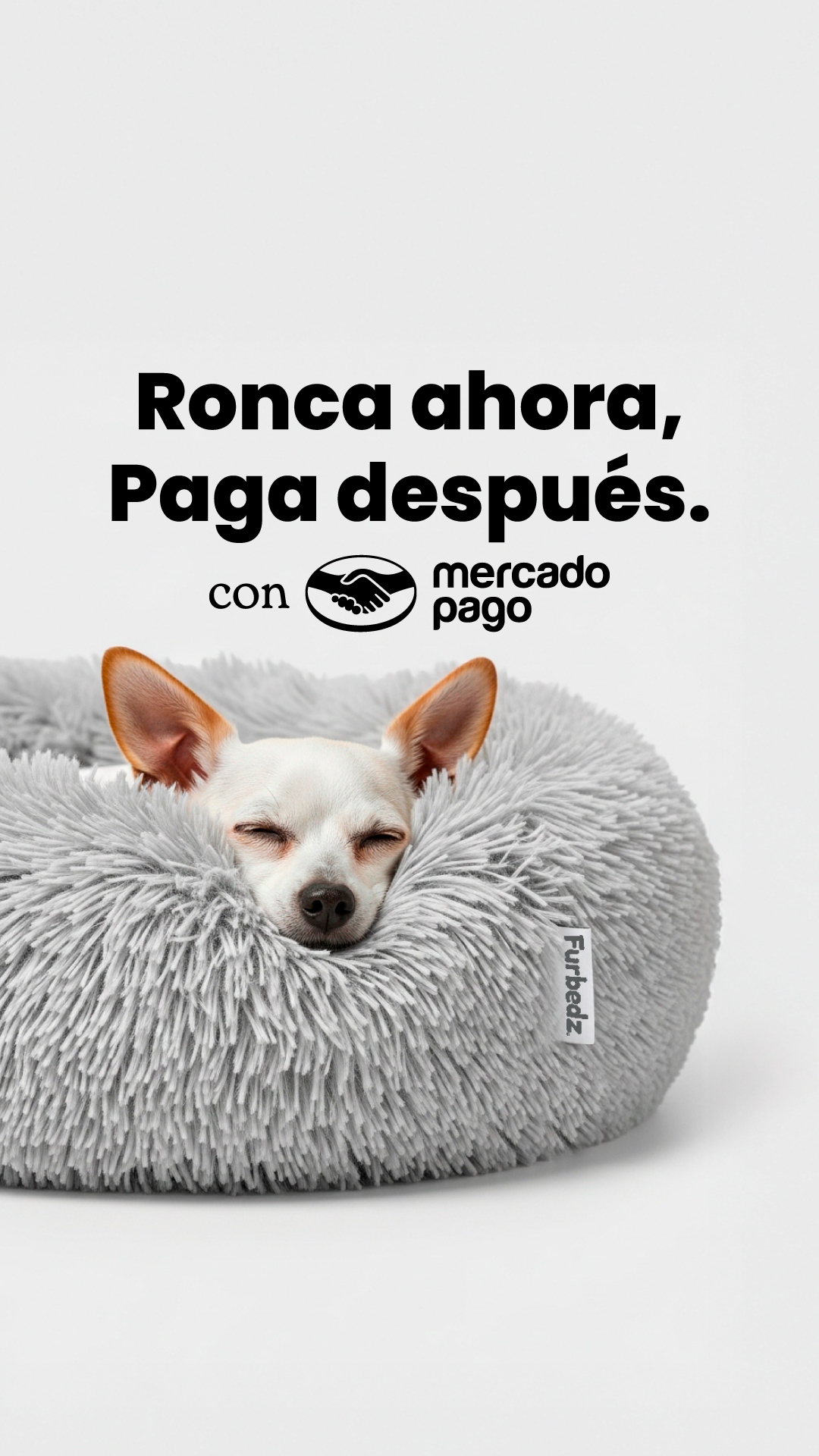 Furbedz Facebook ad