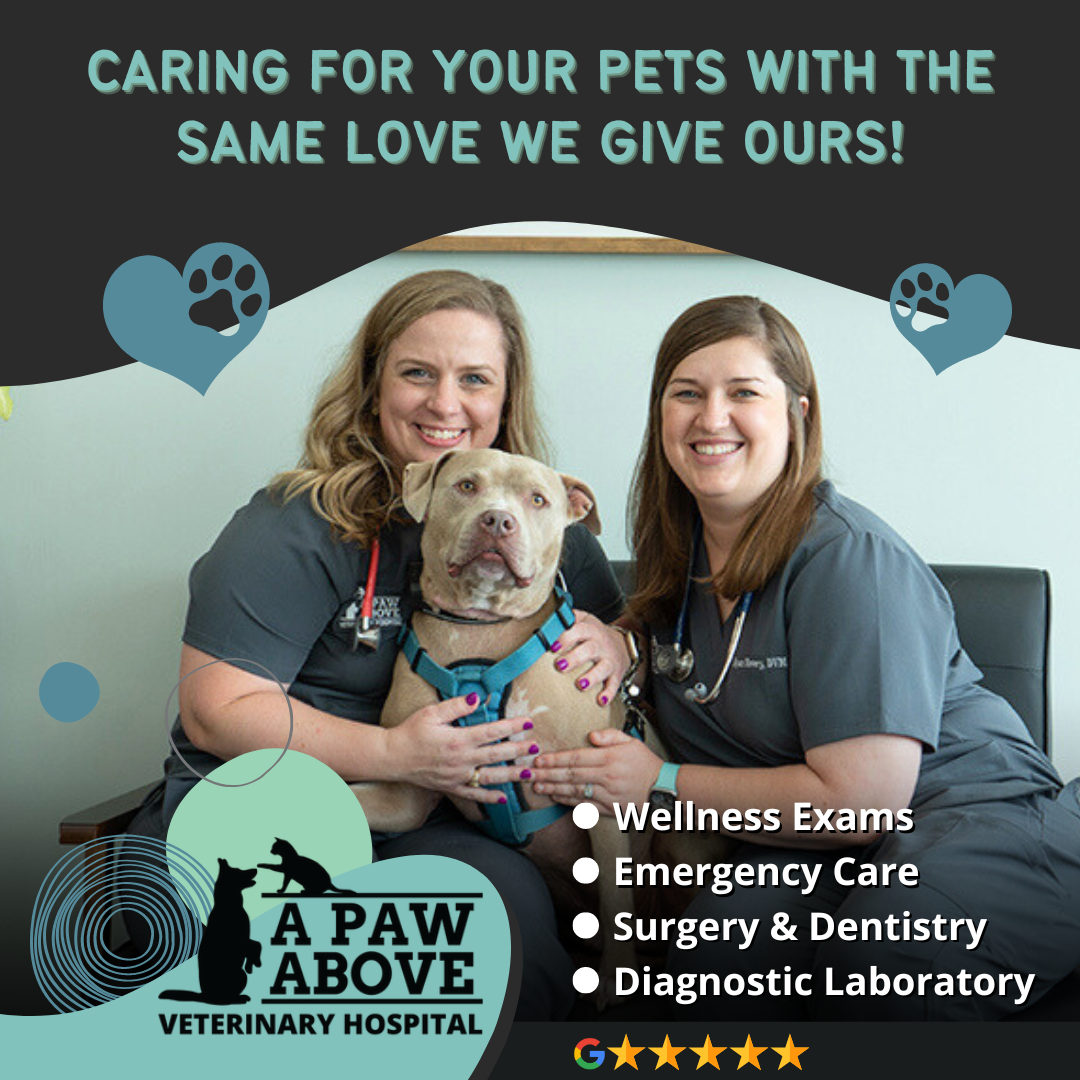 A Paw Above Veterinary Hospital Facebook ad: Caring for Your Fur Babies