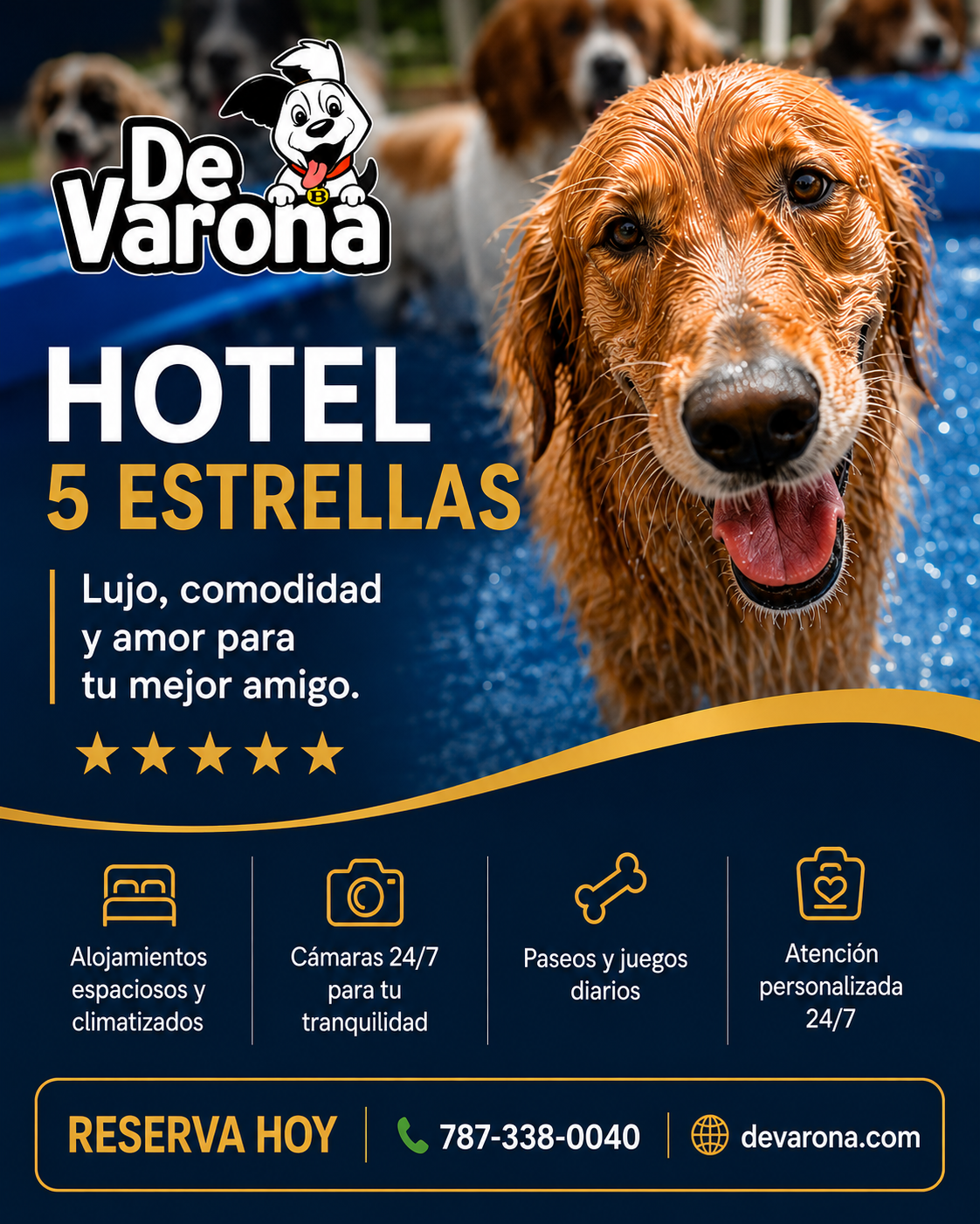 DeVarona Facebook ad