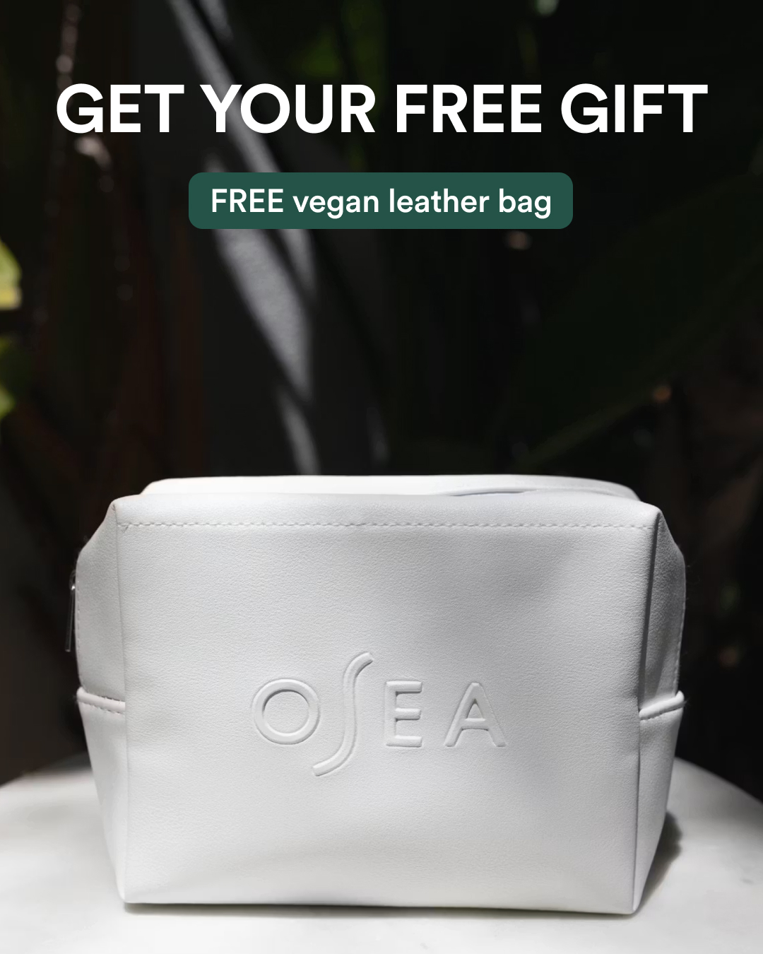 OSEA Facebook ad