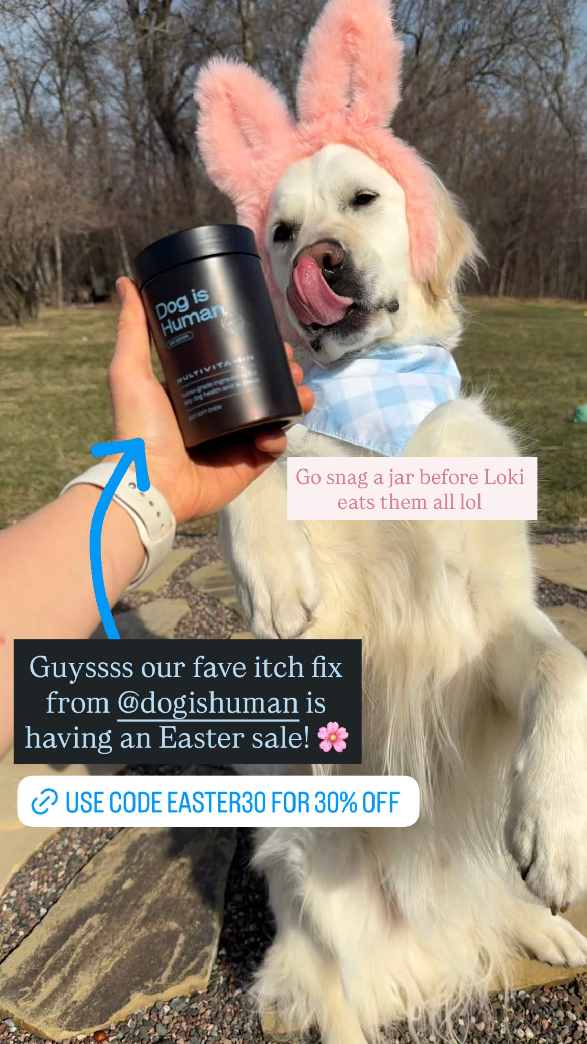Loki The Floof Facebook ad: Daily Dog Multivitamin, Real Results