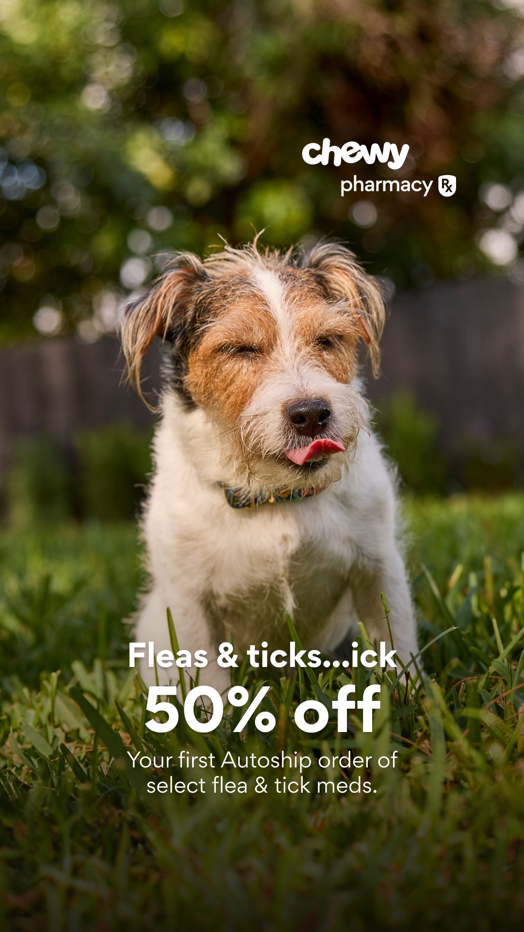 Chewy Facebook ad