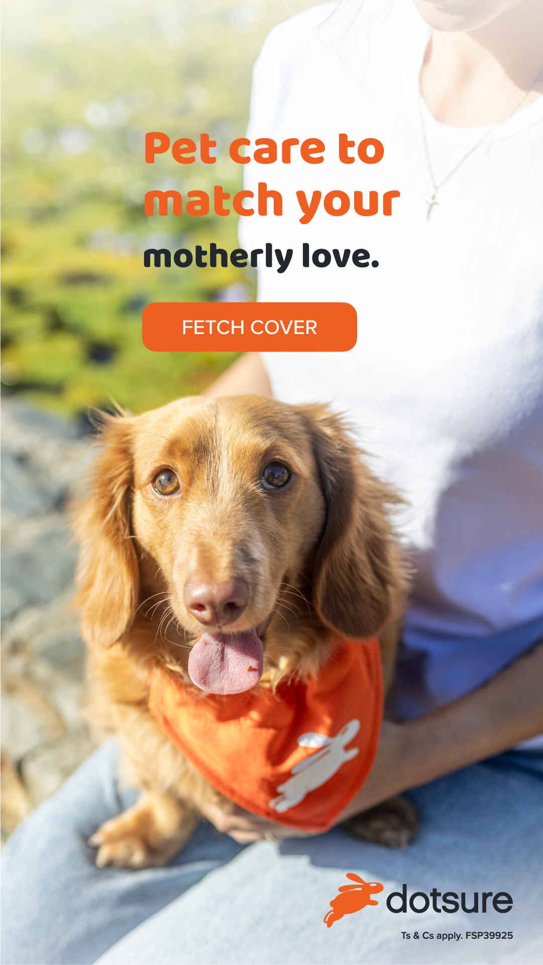 dotsure.co.za Pet Insurance Facebook ad from Jul 1, 2026