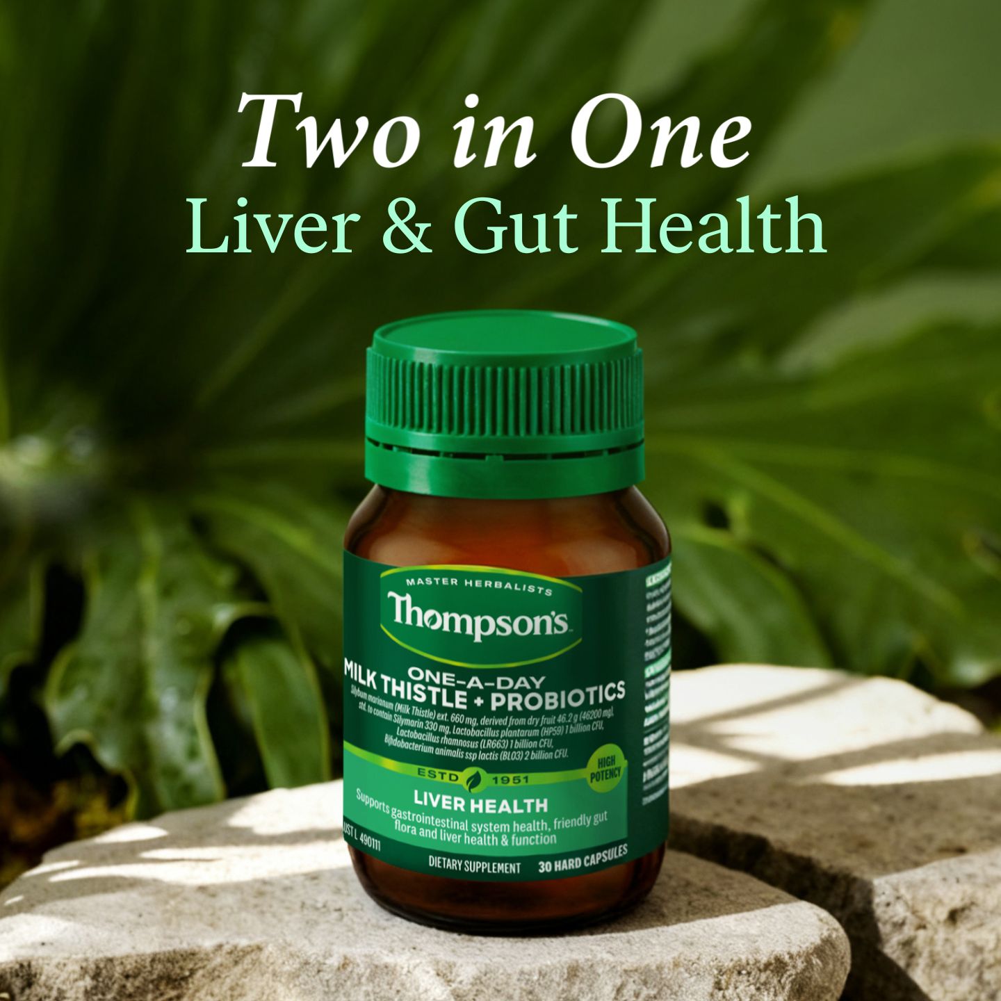 Thompson's Facebook ad from Jul 17, 2026