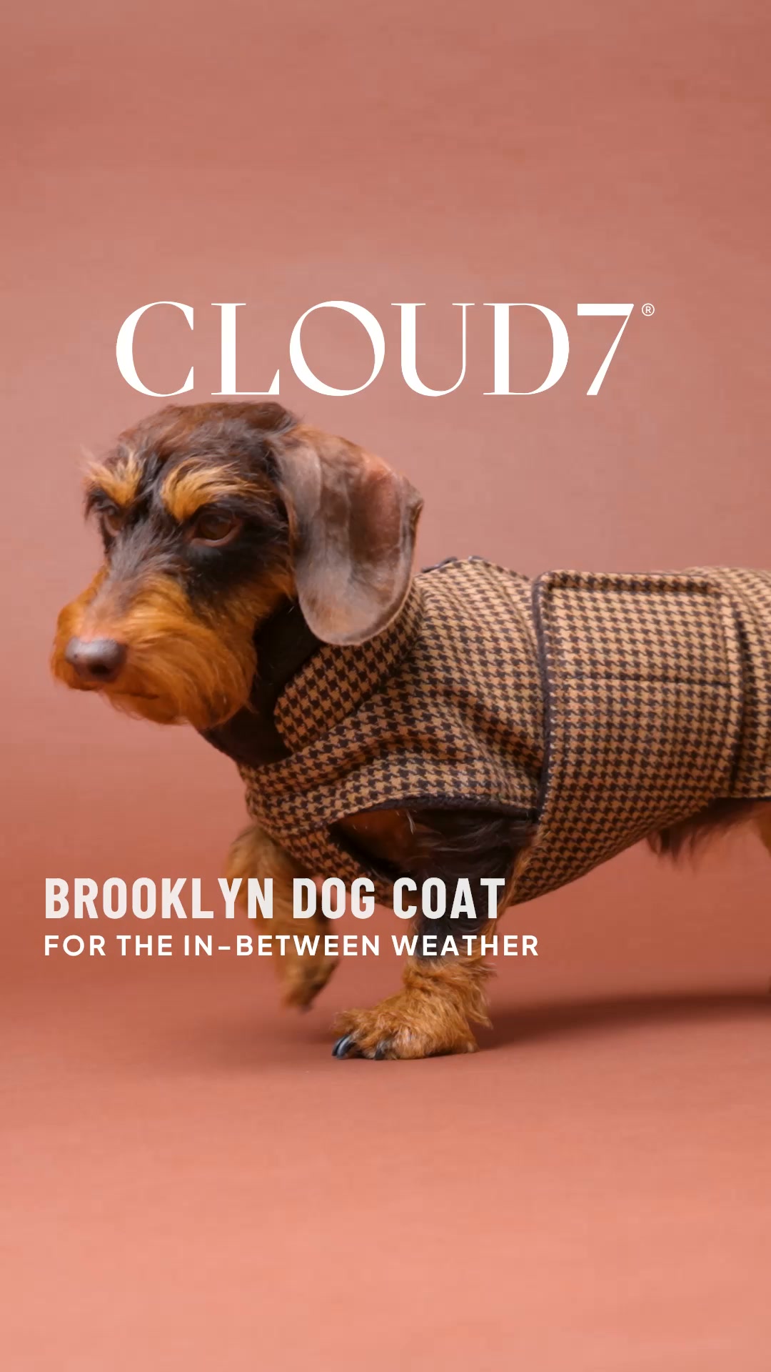 Cloud7 Facebook ad: Discover here