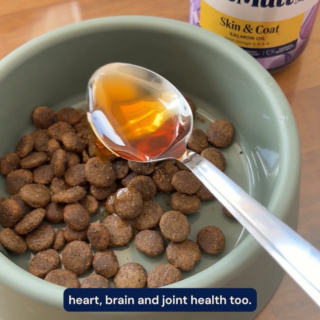 Pooch & Mutt Facebook ad: Salmon Oil for Dogs
