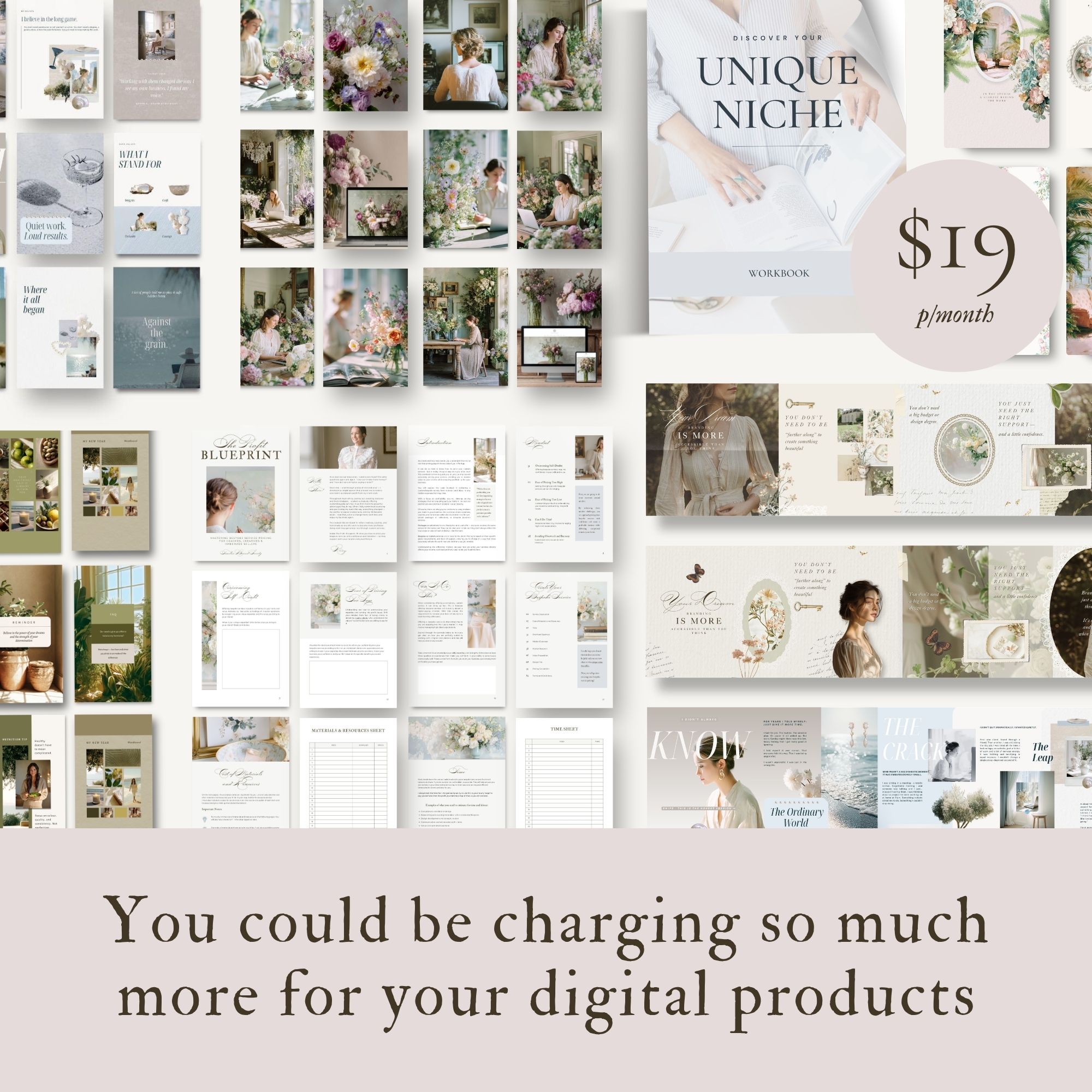 Rosey Willis Facebook ad: Premium PLR Templates